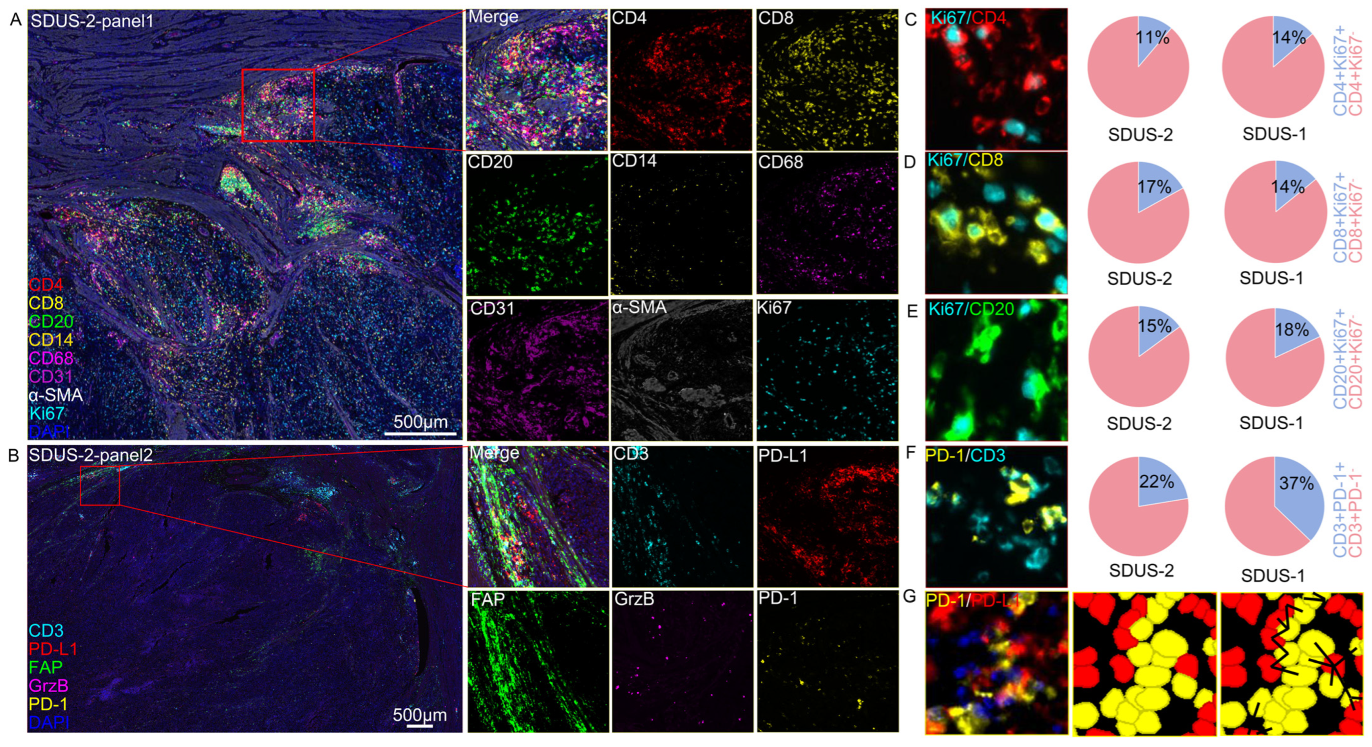 Biomolecules 14 00987 g002