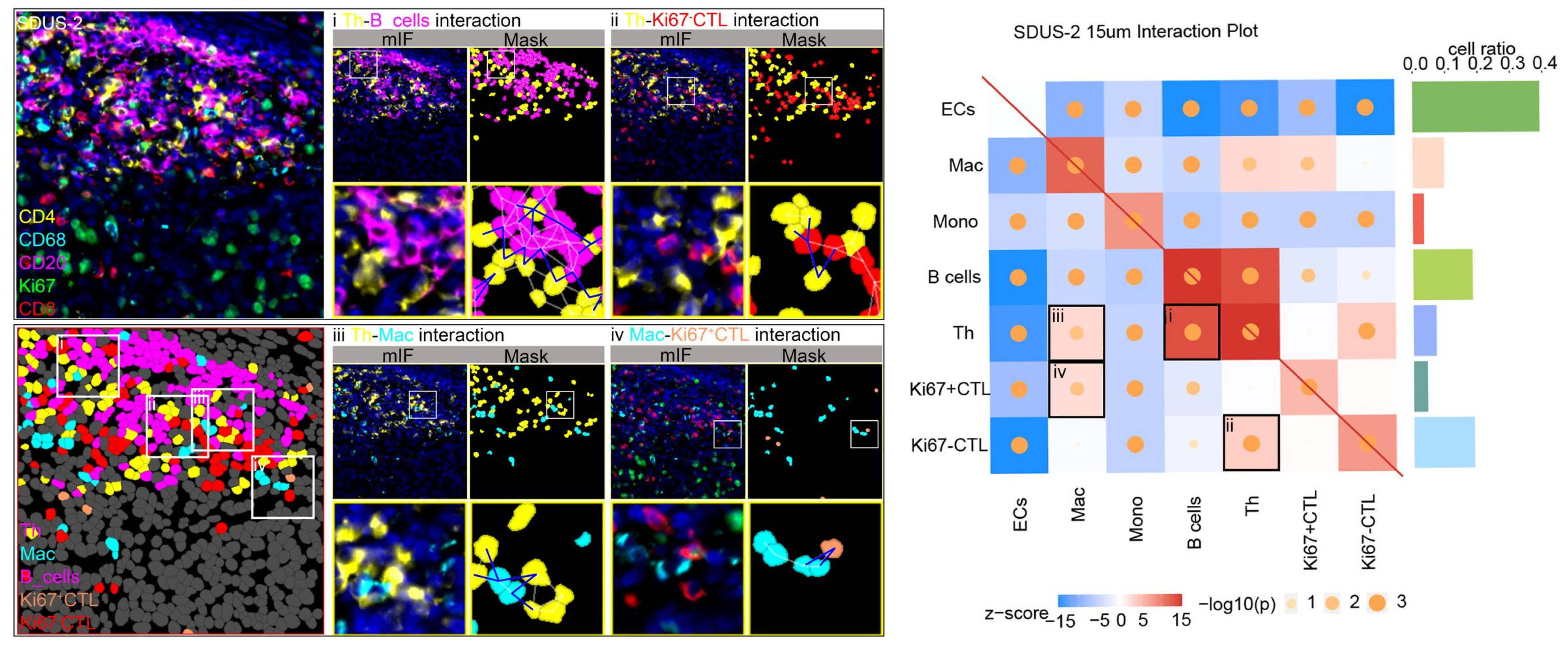 Biomolecules 14 00987 g003