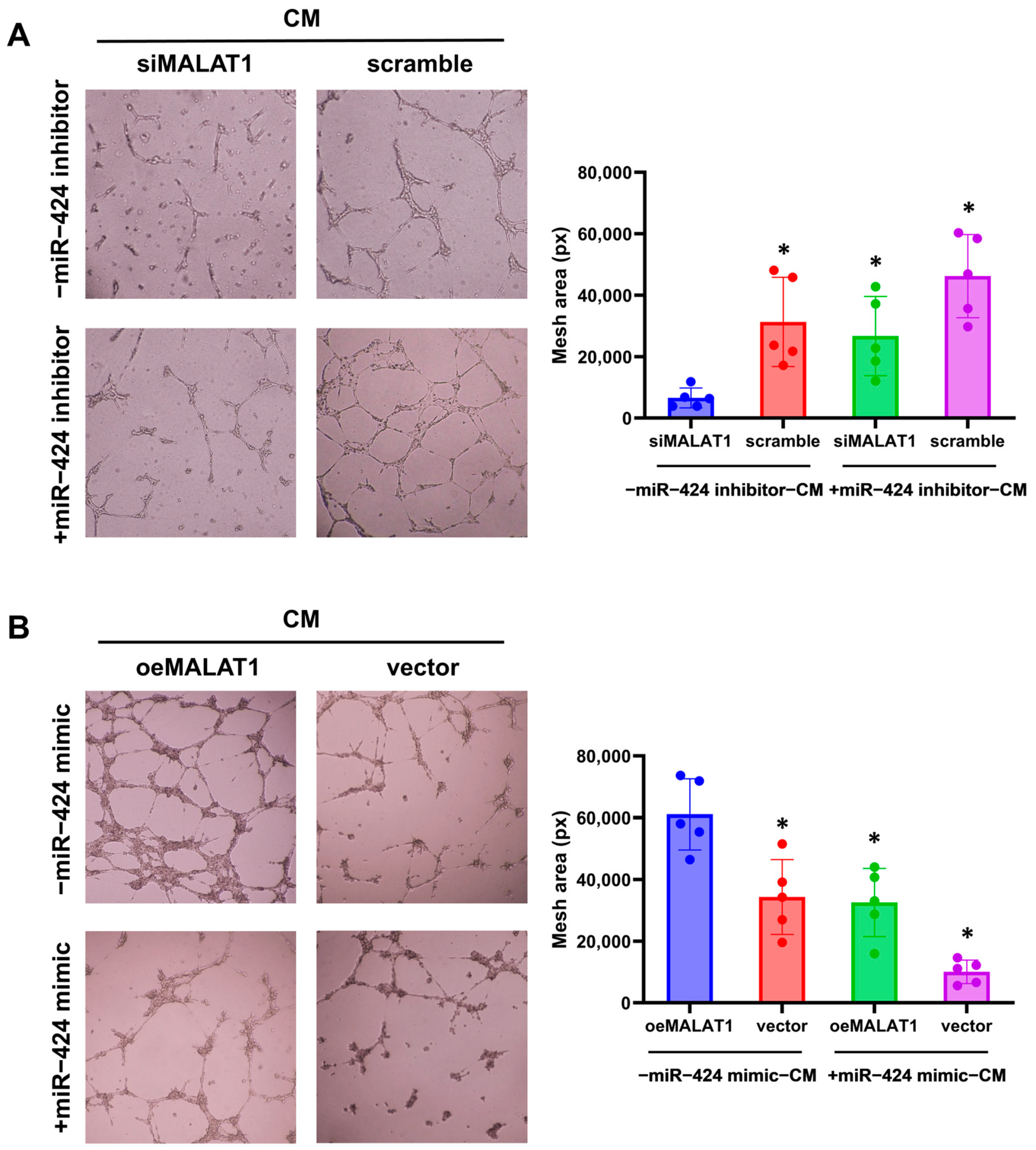 Biomolecules 14 00988 g004