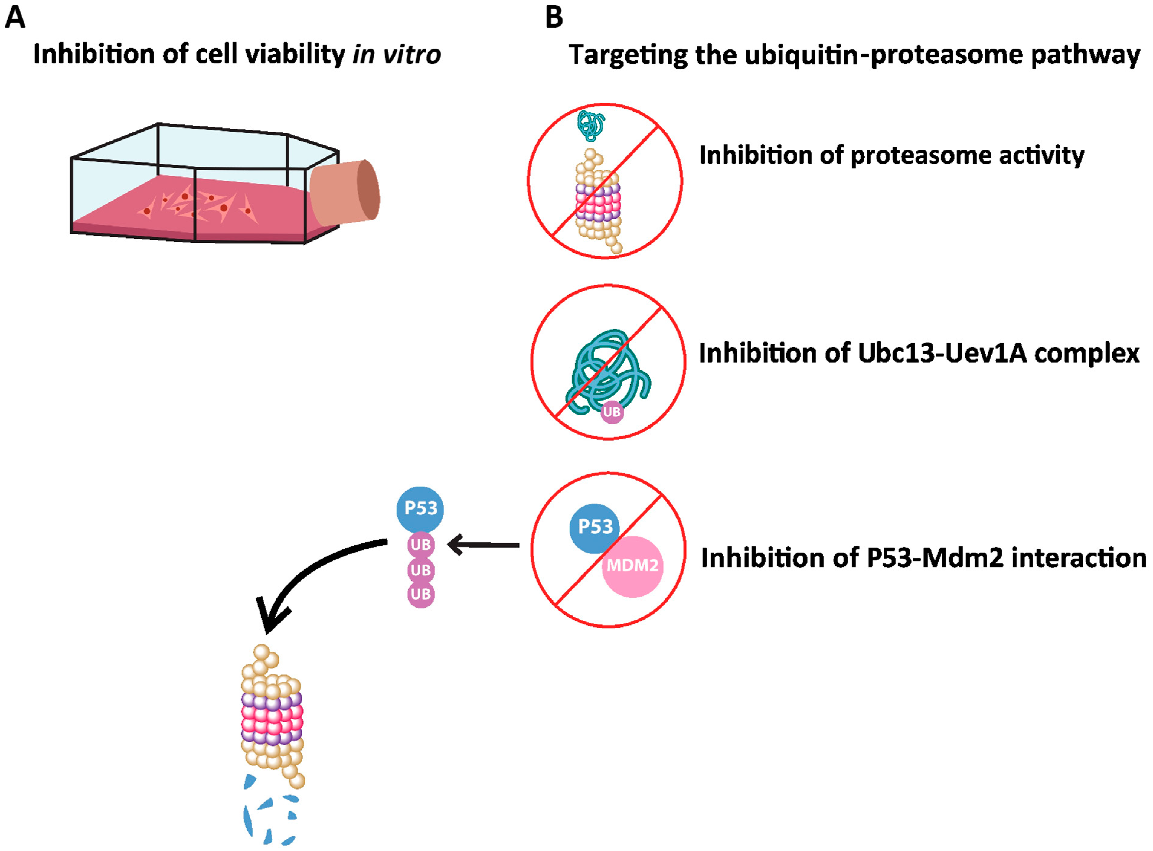 Biomolecules 14 00991 g004