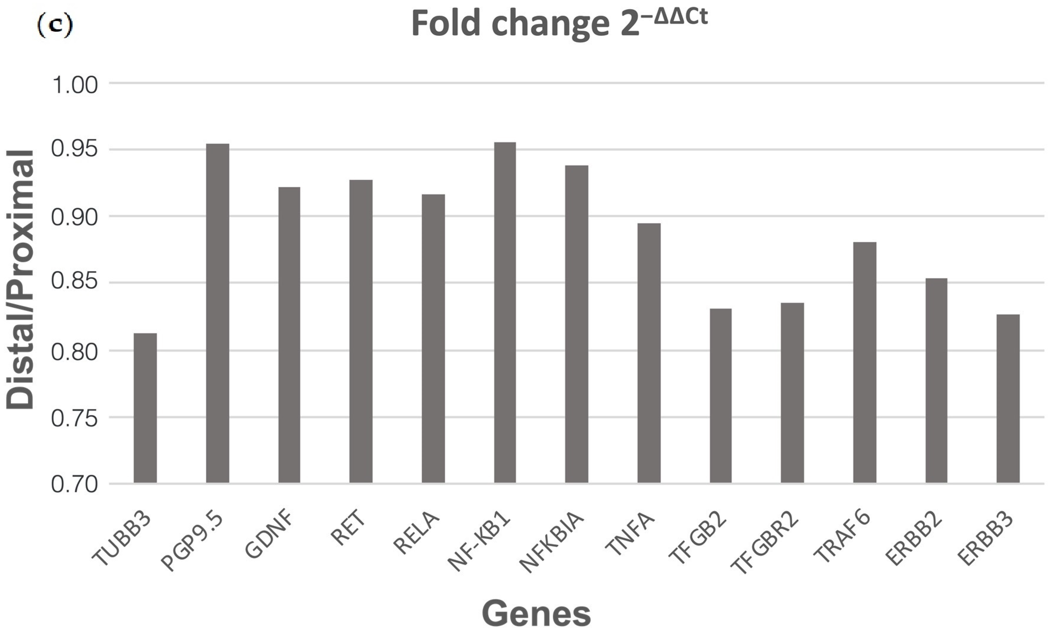 Biomolecules 14 00992 g001b