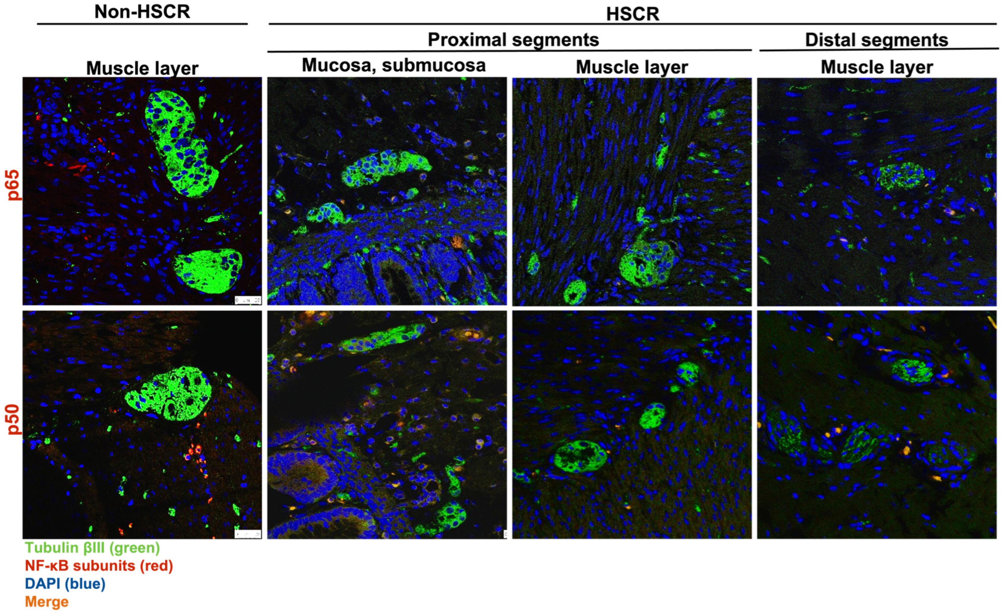 Biomolecules 14 00992 g002