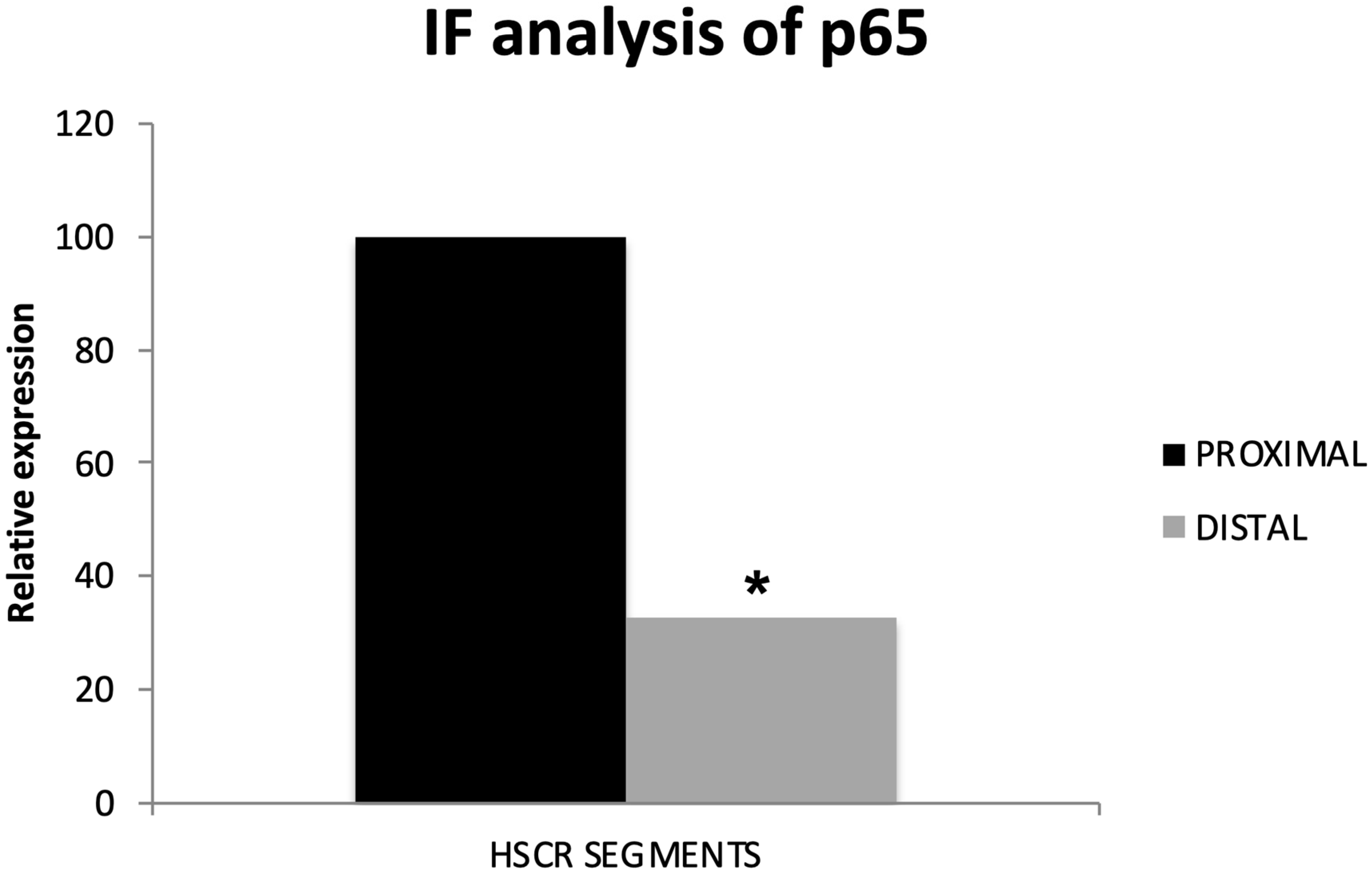 Biomolecules 14 00992 g004