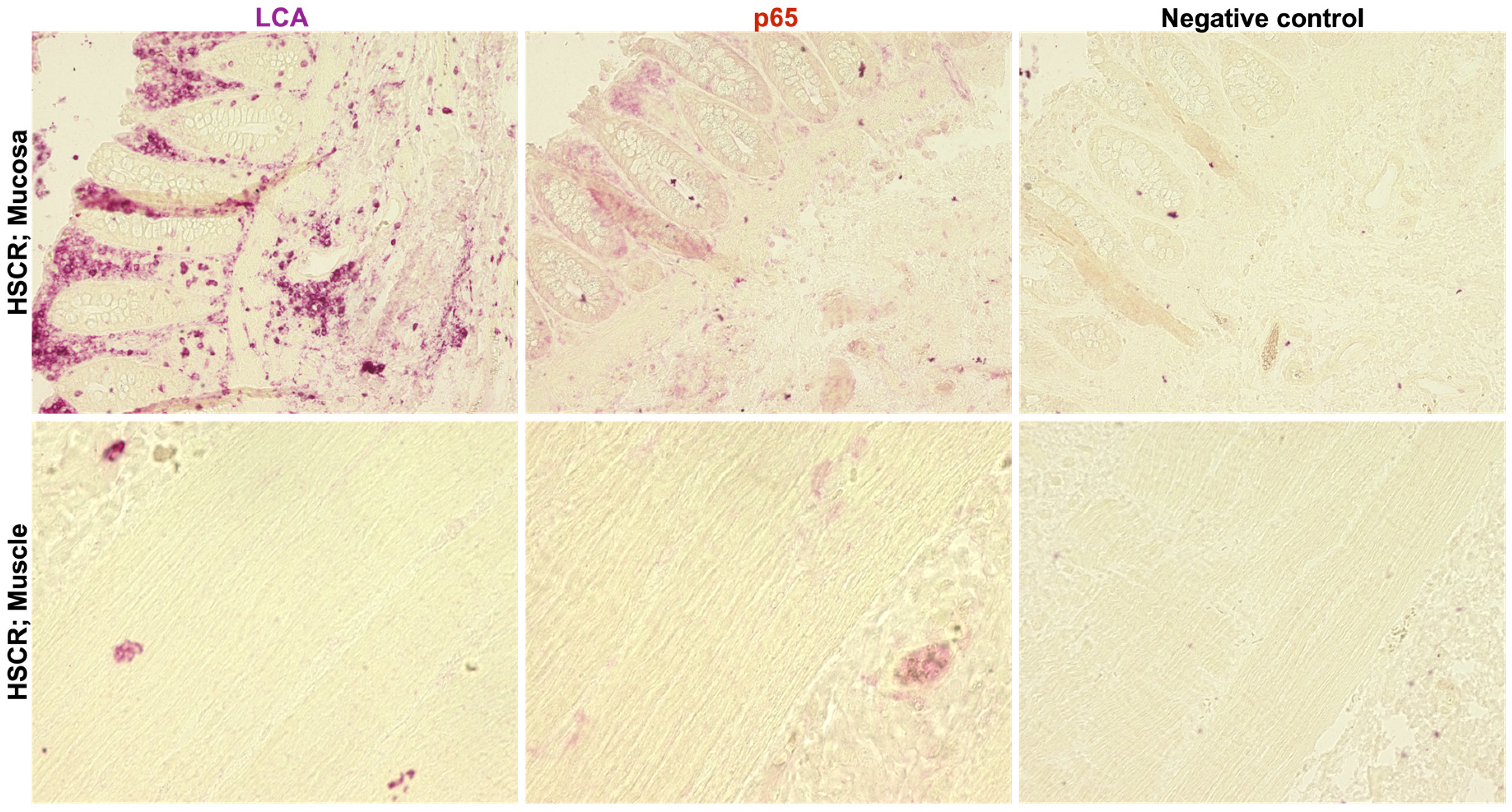 Biomolecules 14 00992 g005