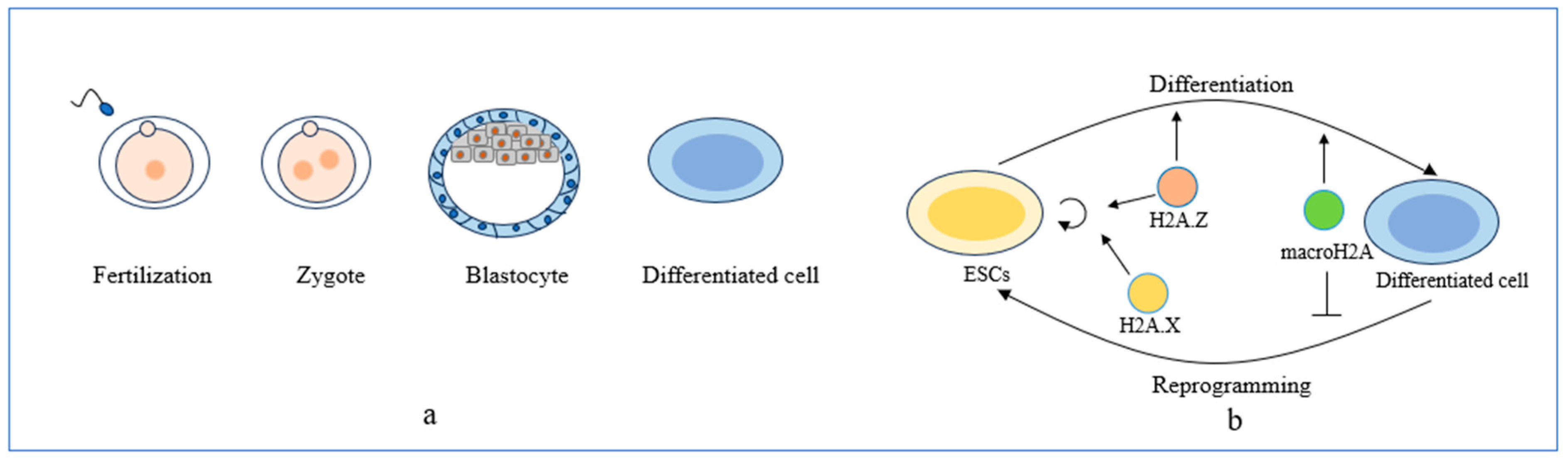 Biomolecules 14 00993 g003