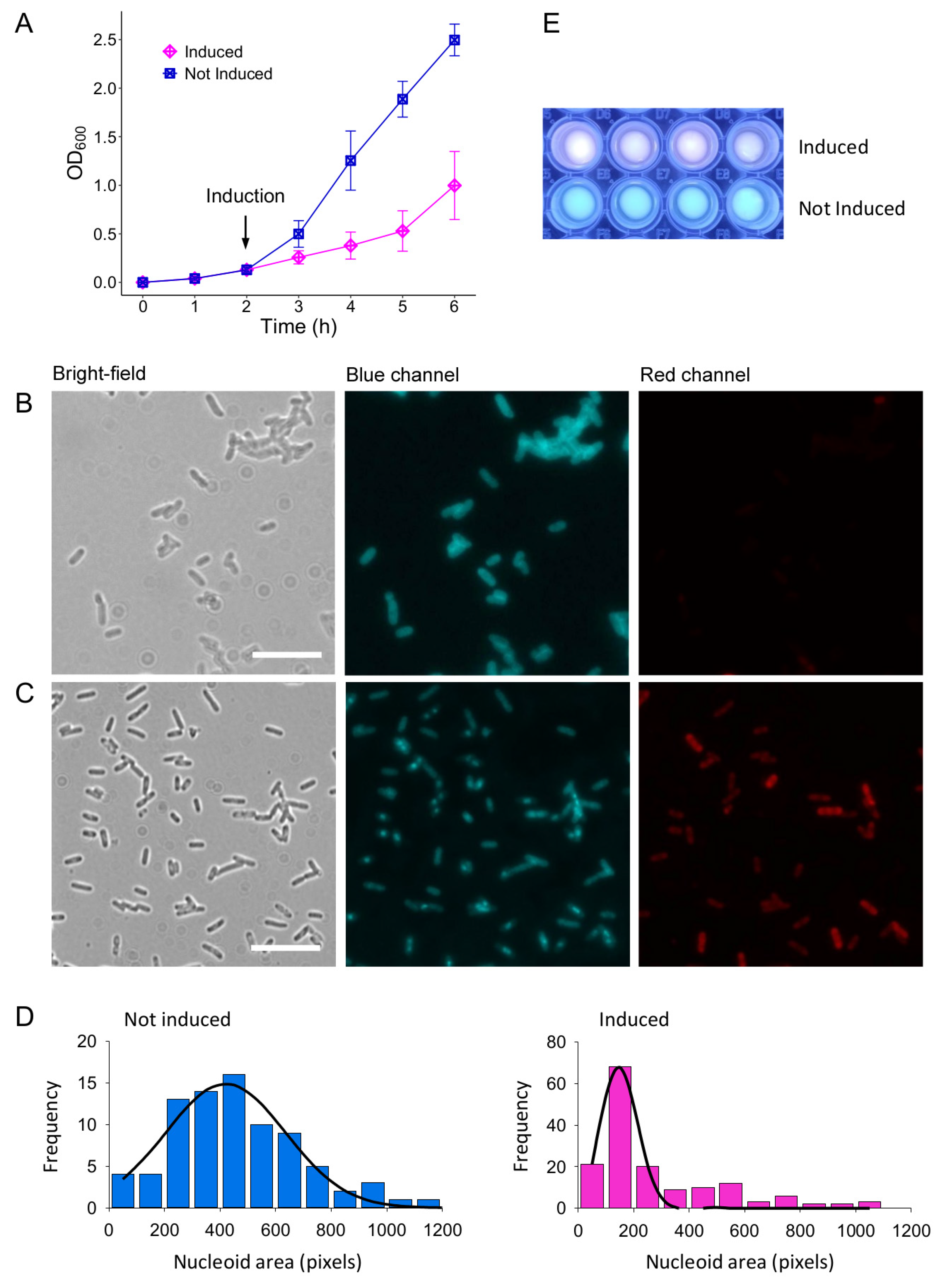 Biomolecules 14 00994 g002