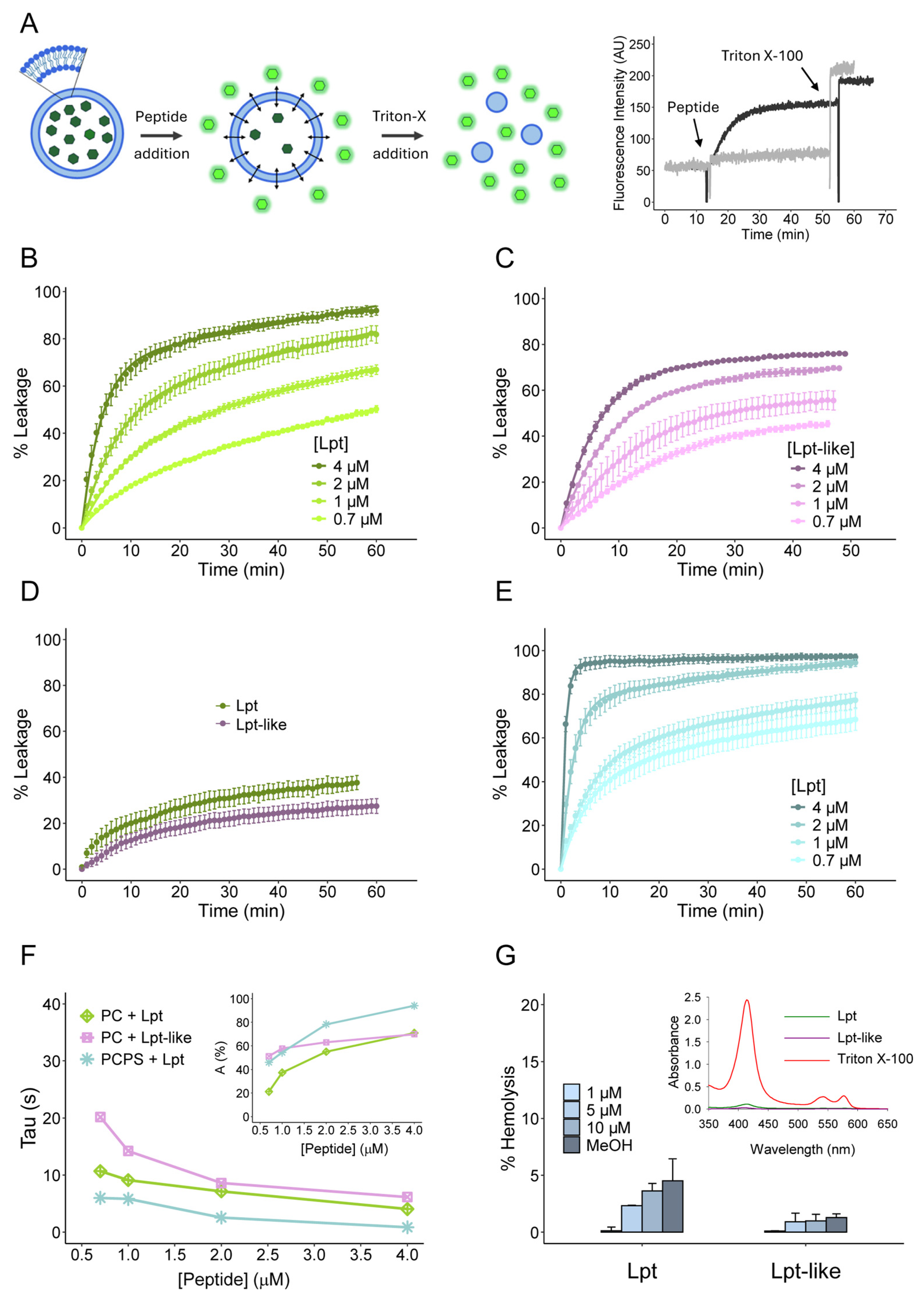 Biomolecules 14 00994 g003
