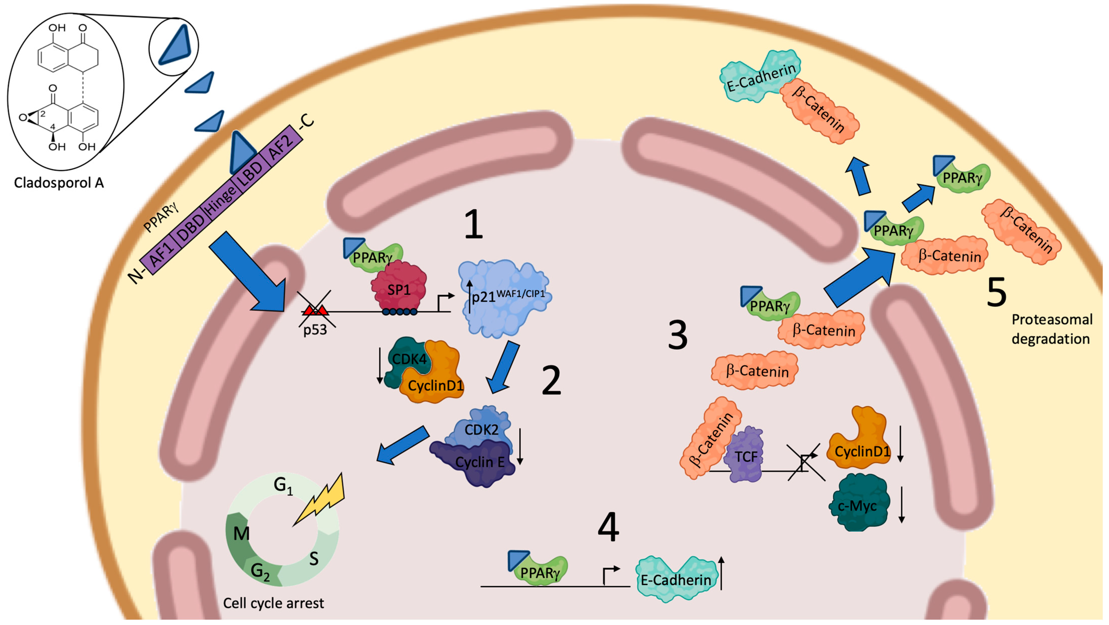 Biomolecules 14 00998 g009