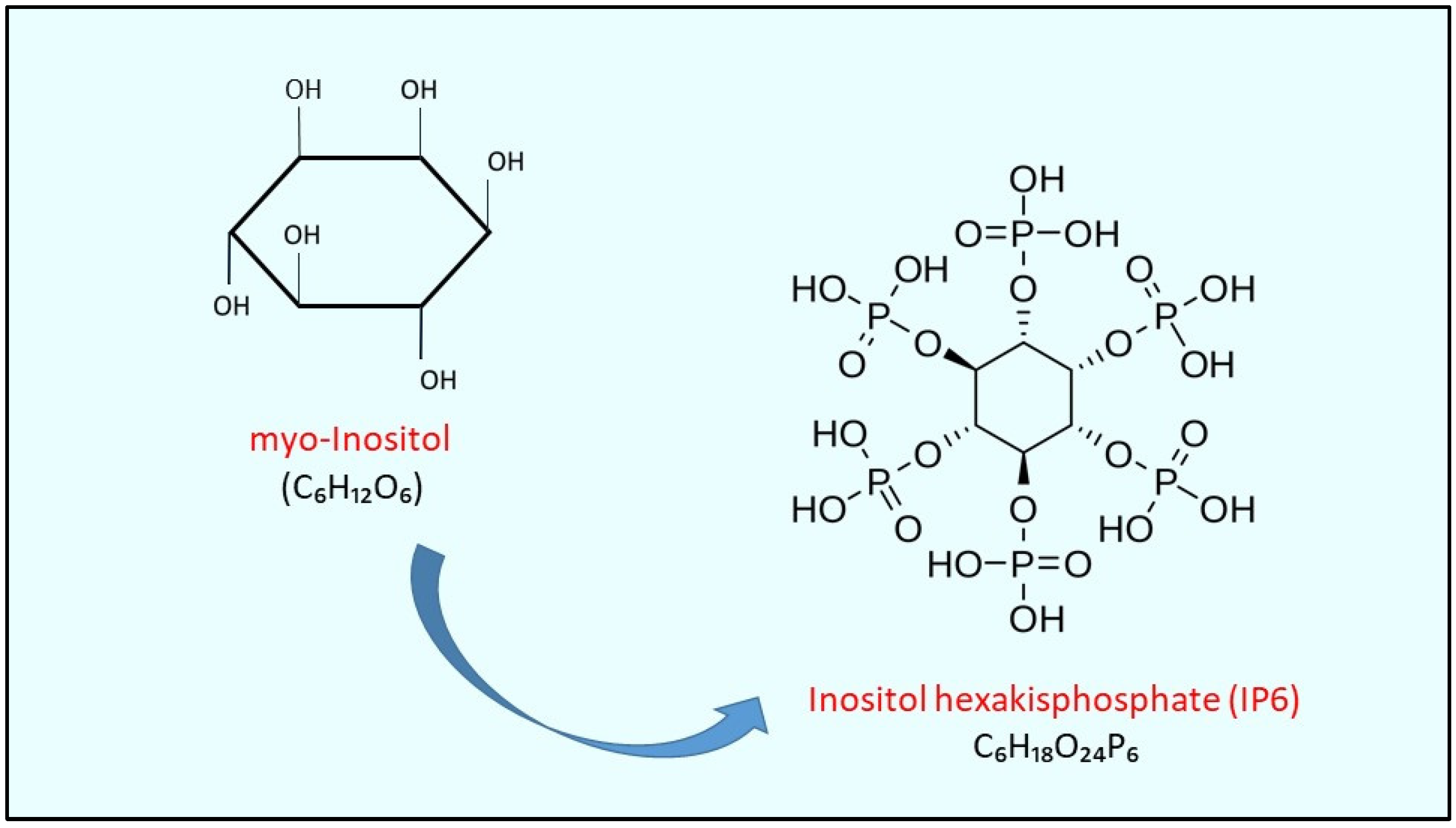 Biomolecules 14 01004 g001 Biomolecules 14 01004 g001
