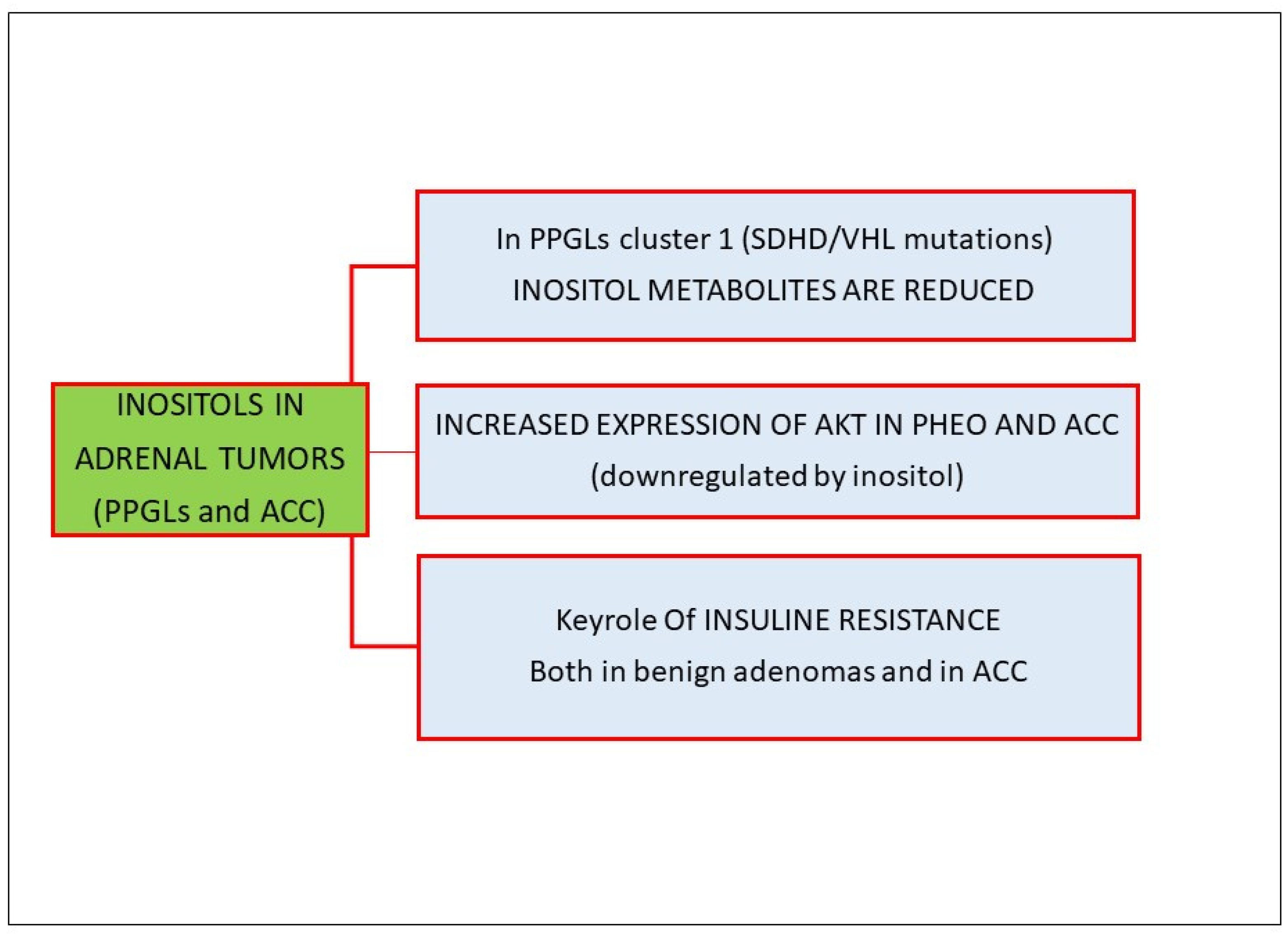 Biomolecules 14 01004 g004 Biomolecules 14 01004 g004