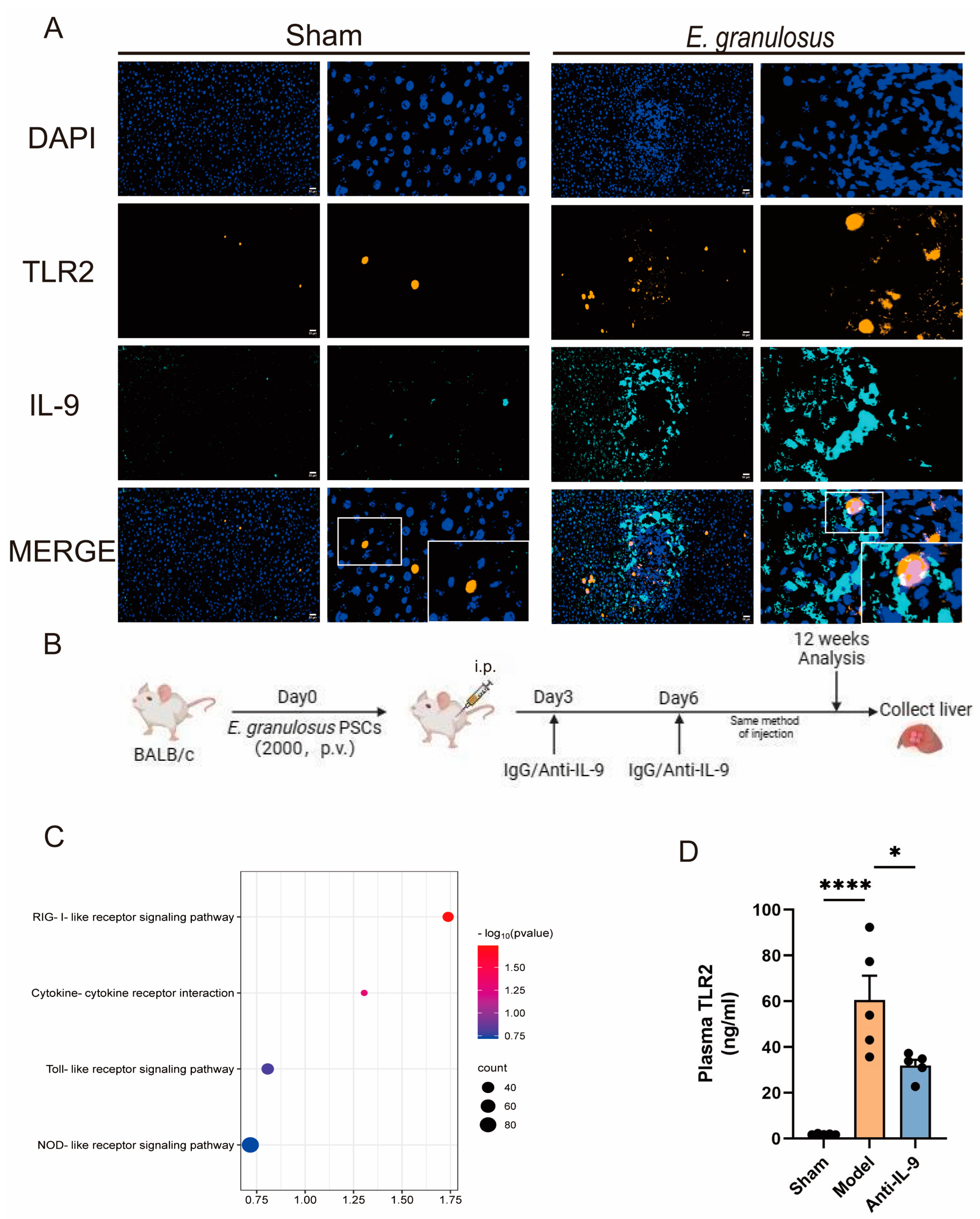 Biomolecules 14 01007 g003