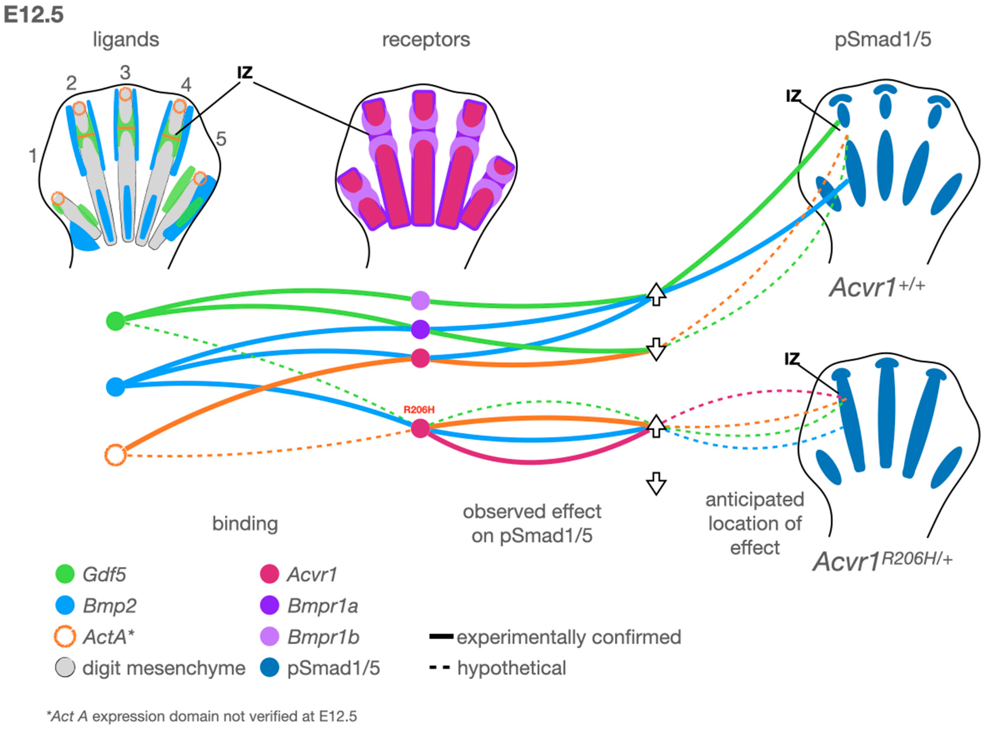 Biomolecules 14 01009 g001 Biomolecules 14 01009 g001