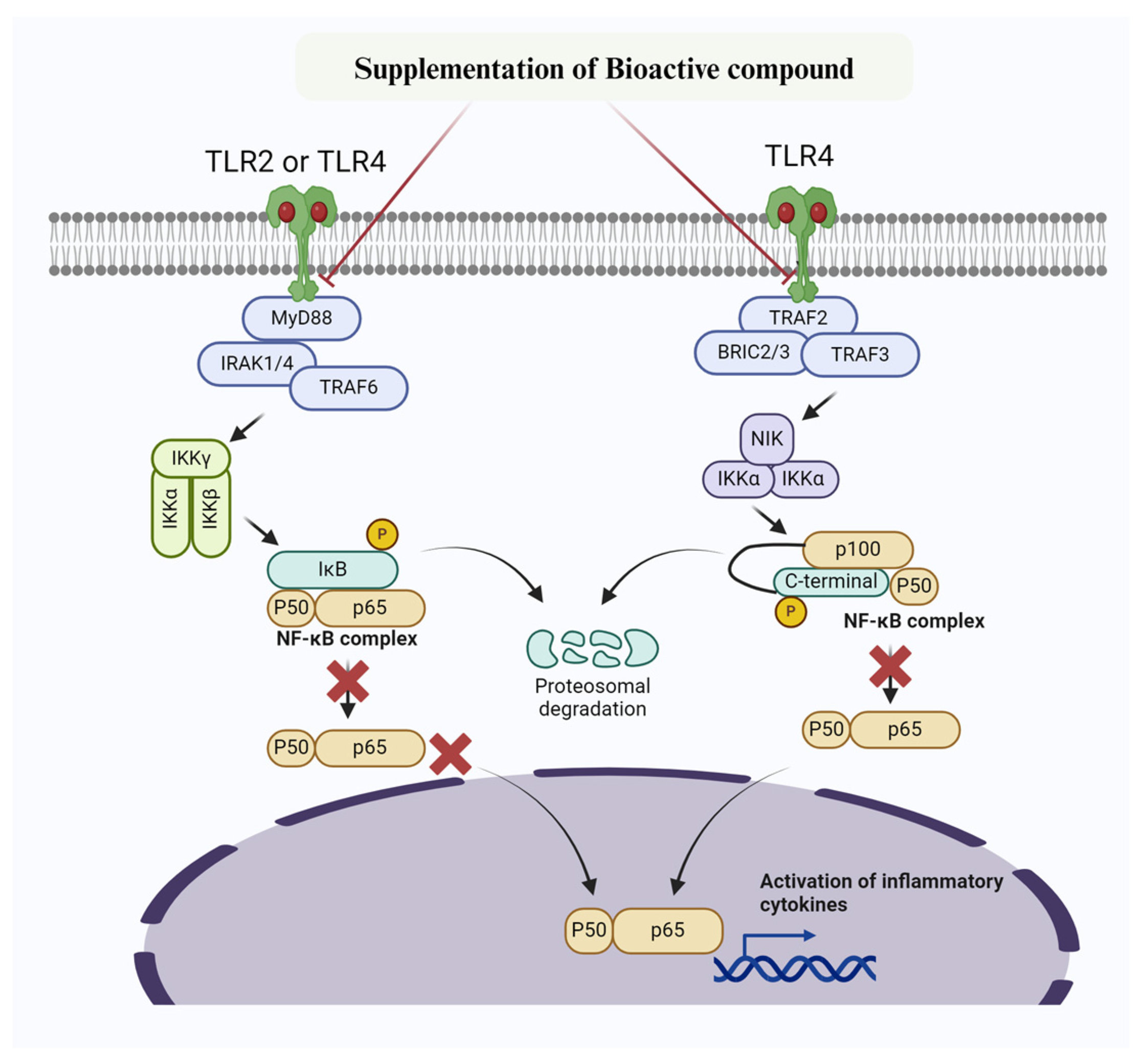 Biomolecules 14 01011 g002