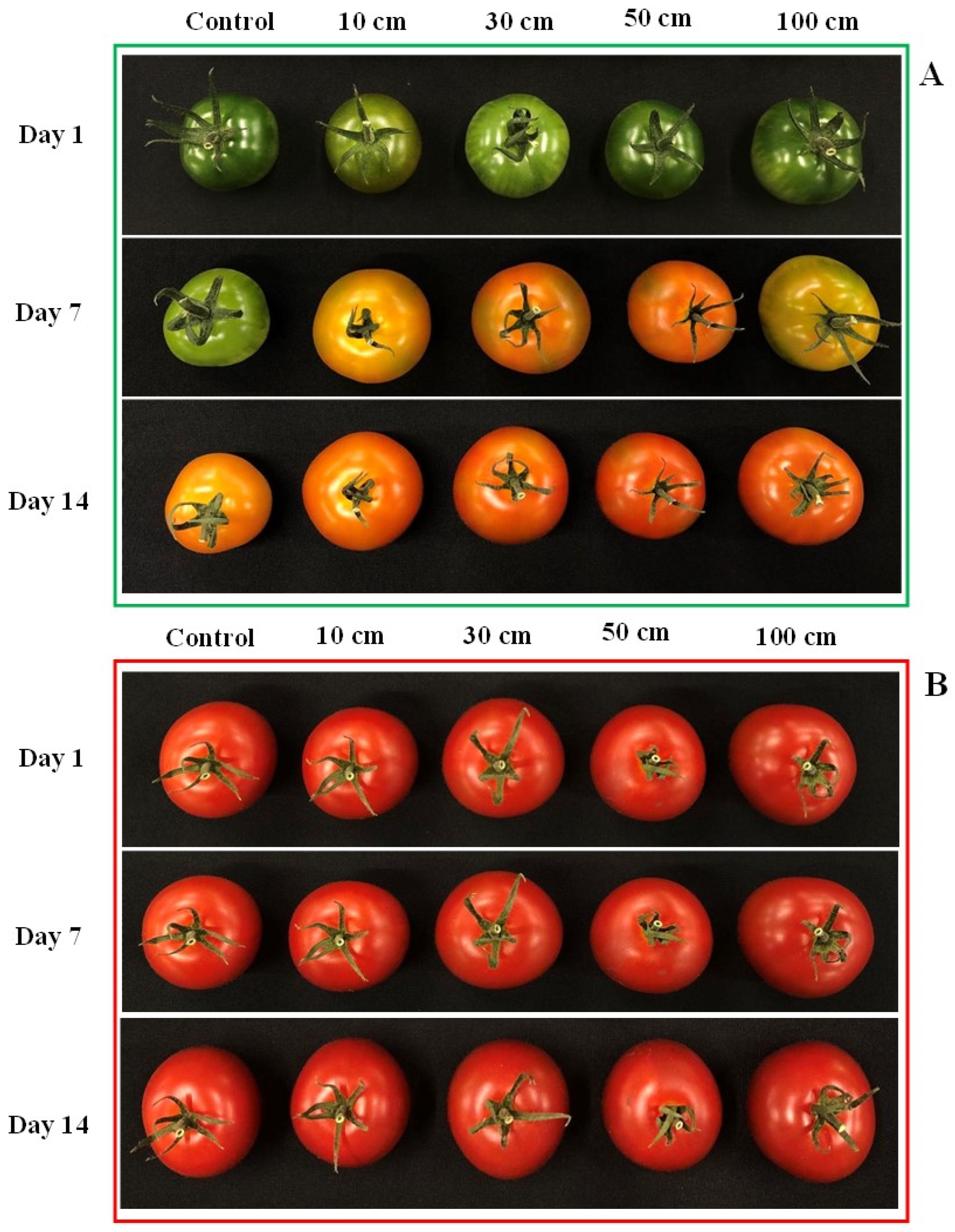 Biomolecules 14 01012 g007