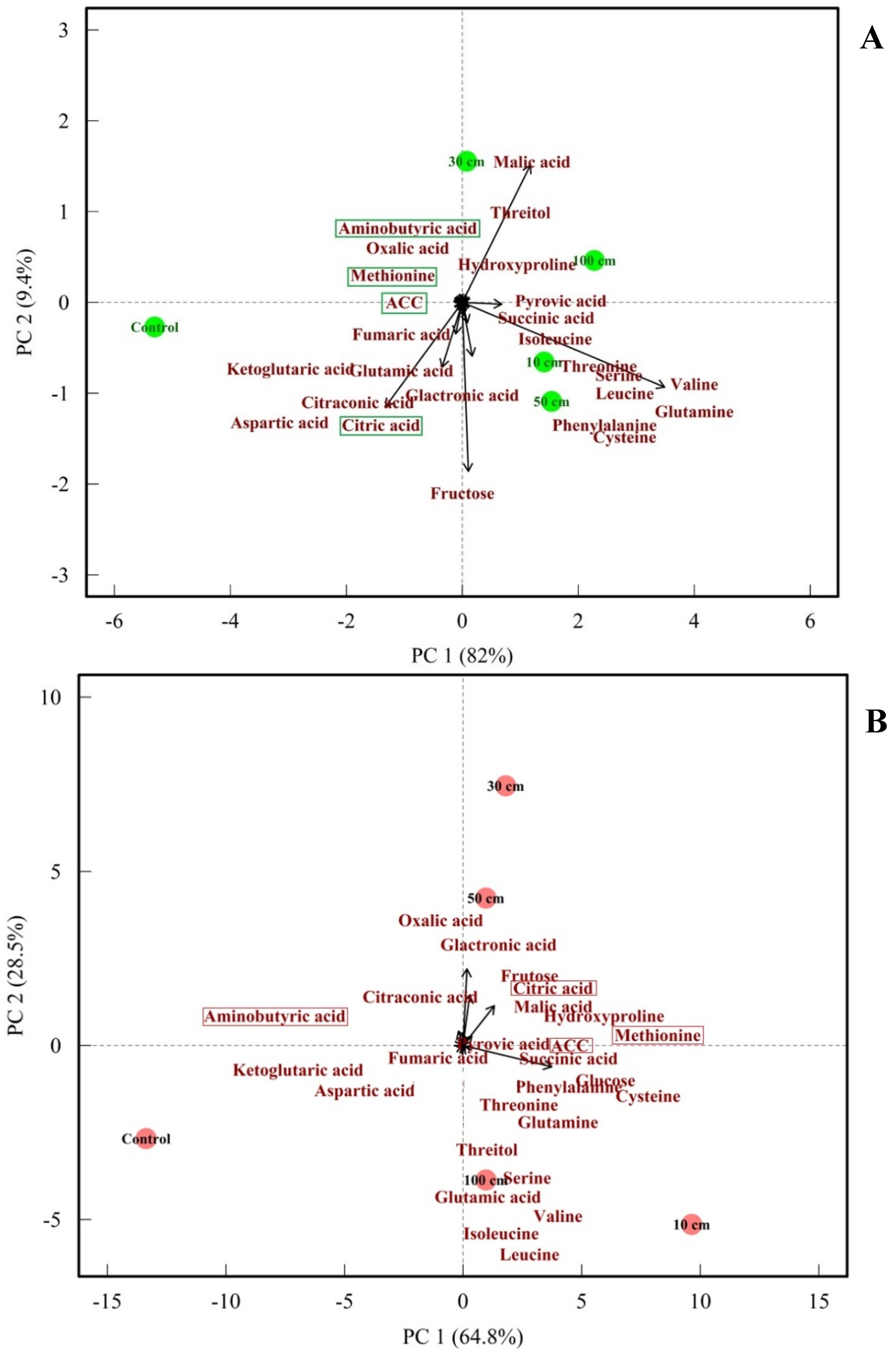 Biomolecules 14 01012 g012
