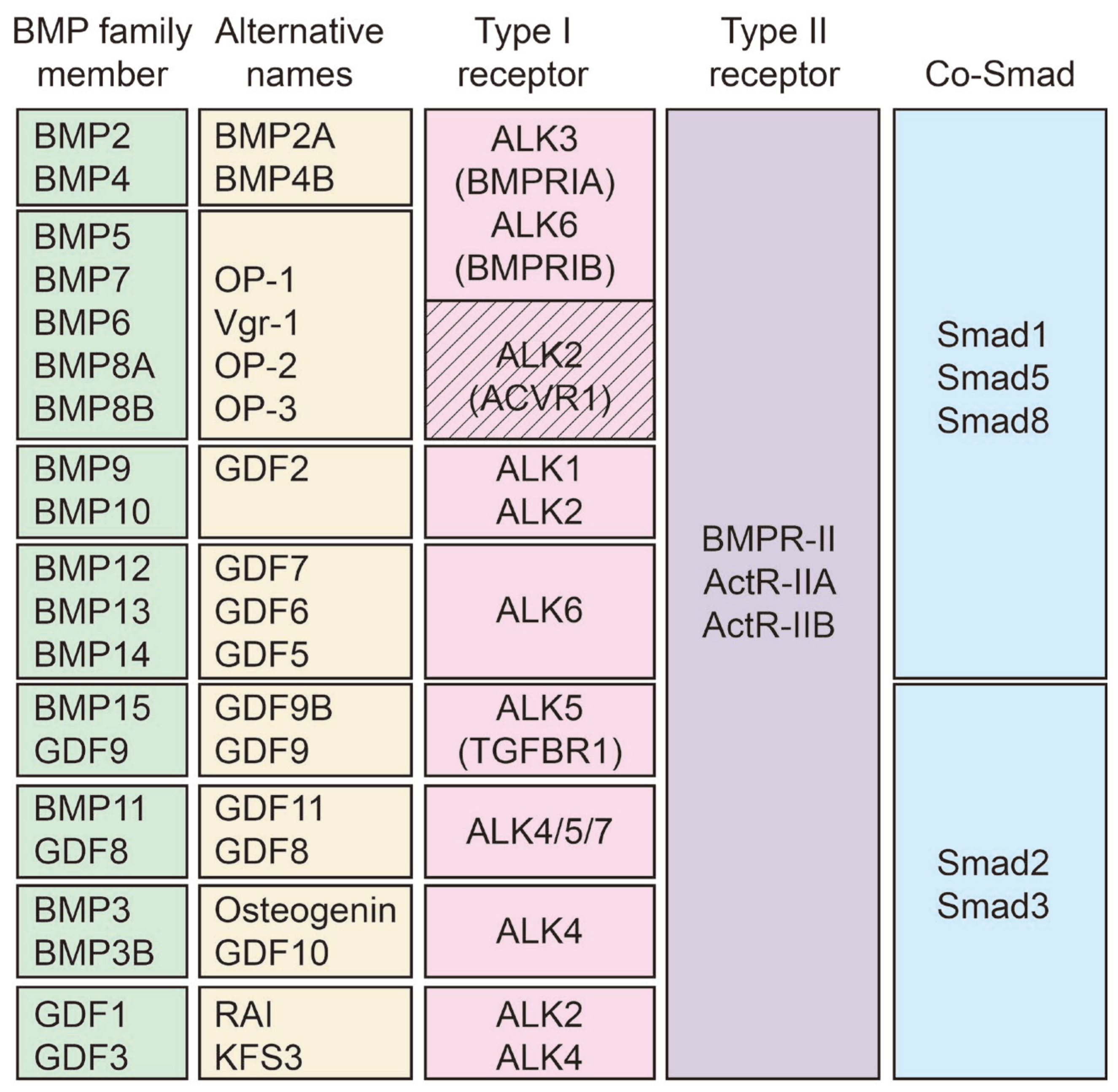 Biomolecules 14 01013 g001 Biomolecules 14 01013 g001