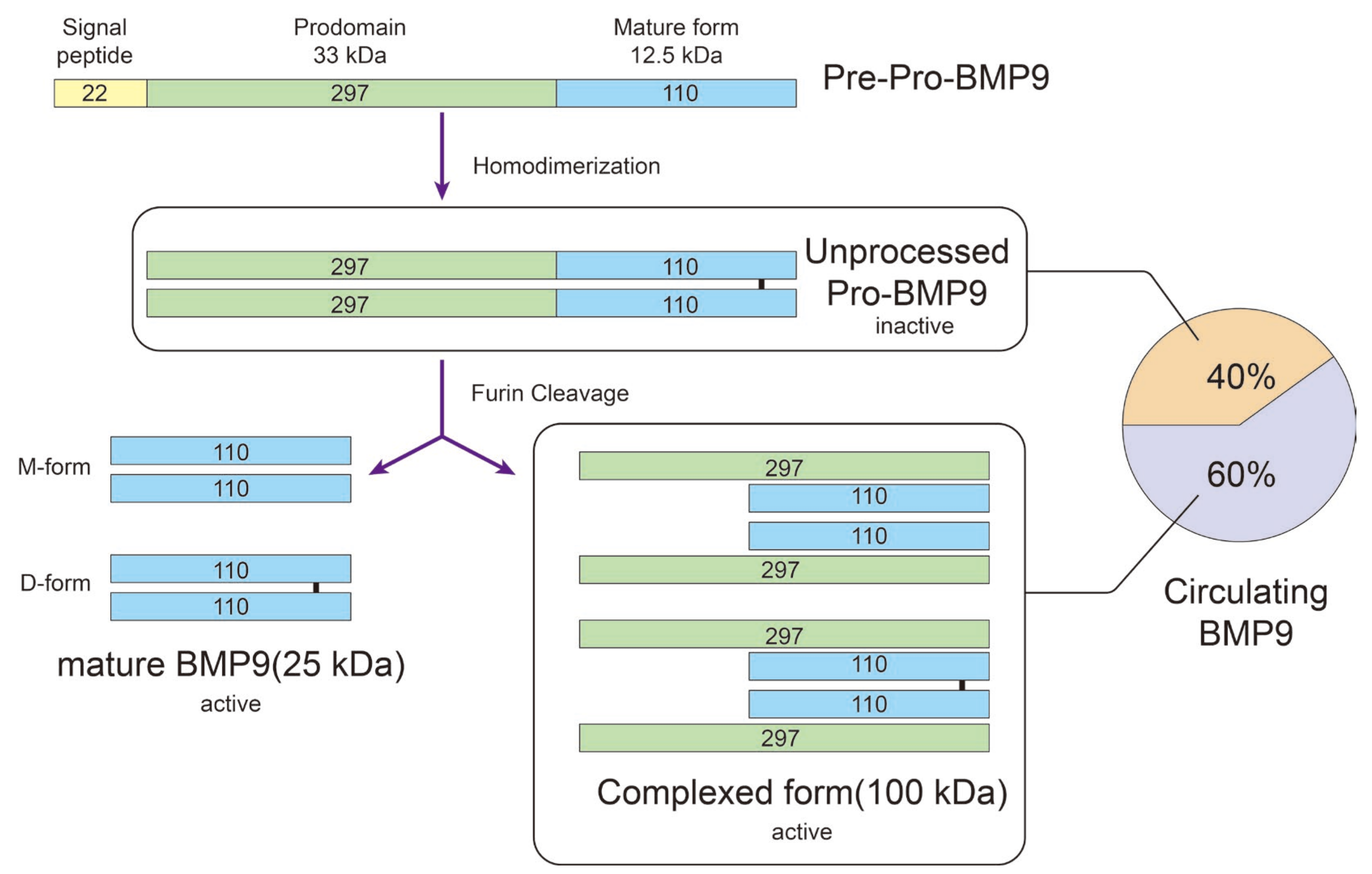 Biomolecules 14 01013 g002 Biomolecules 14 01013 g002
