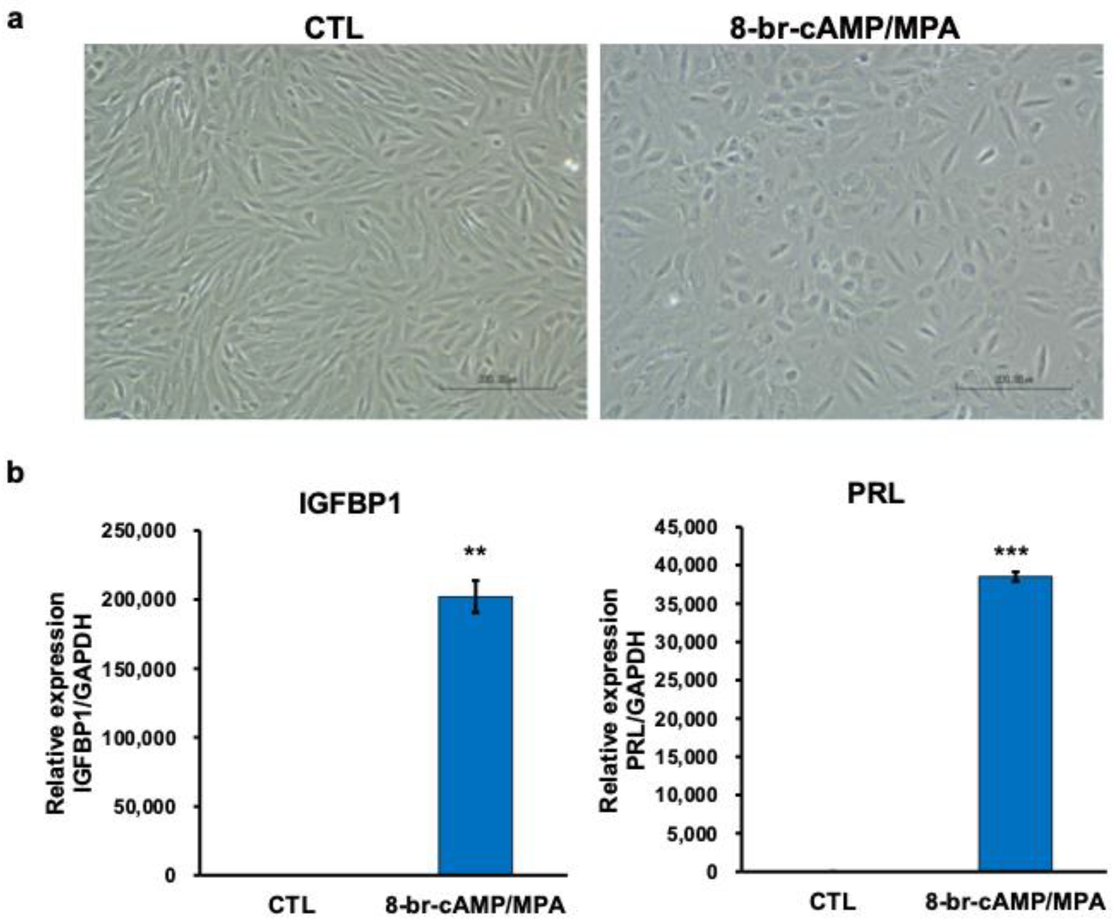Biomolecules 14 01014 g001 Biomolecules 14 01014 g001