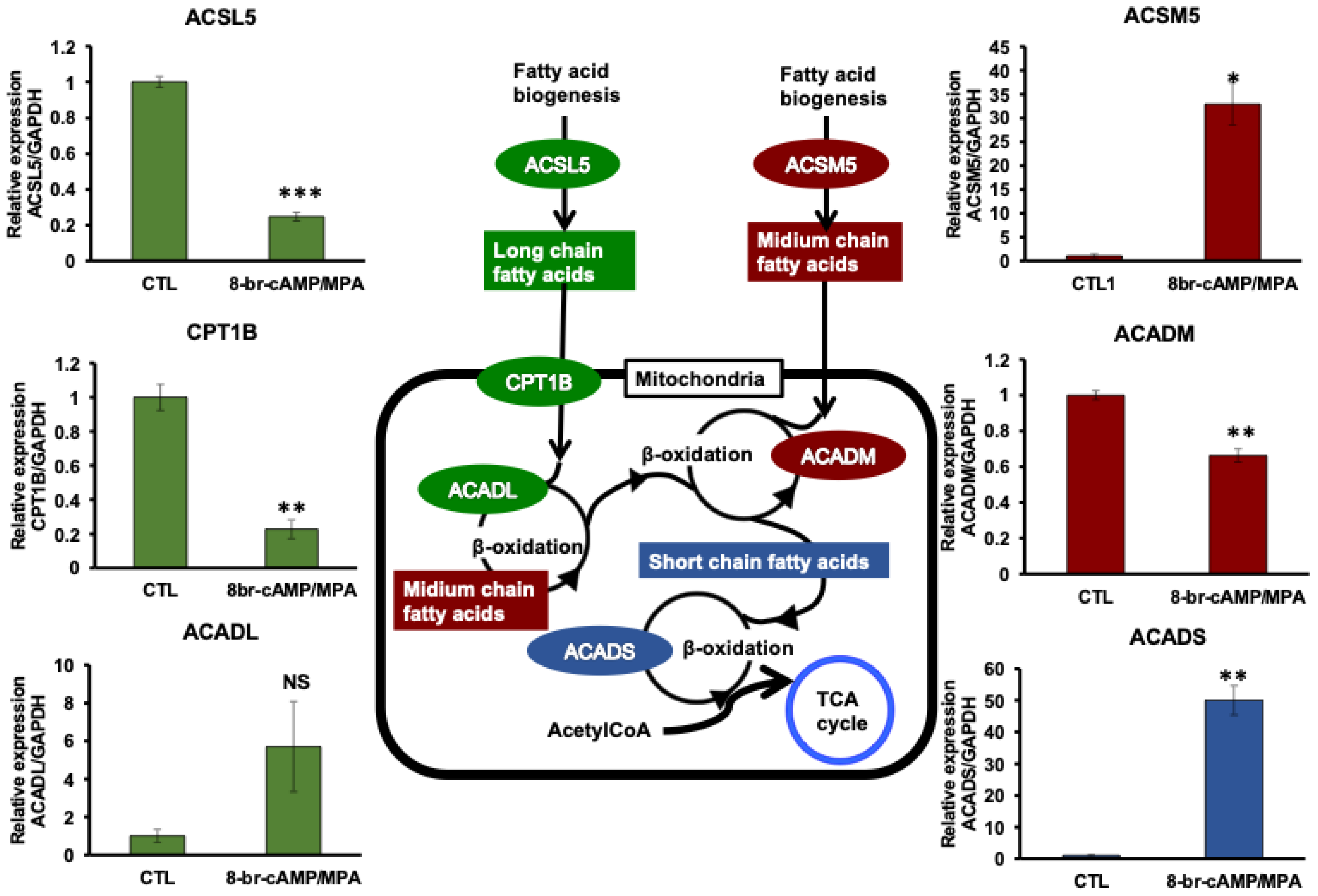 Biomolecules 14 01014 g004 Biomolecules 14 01014 g004