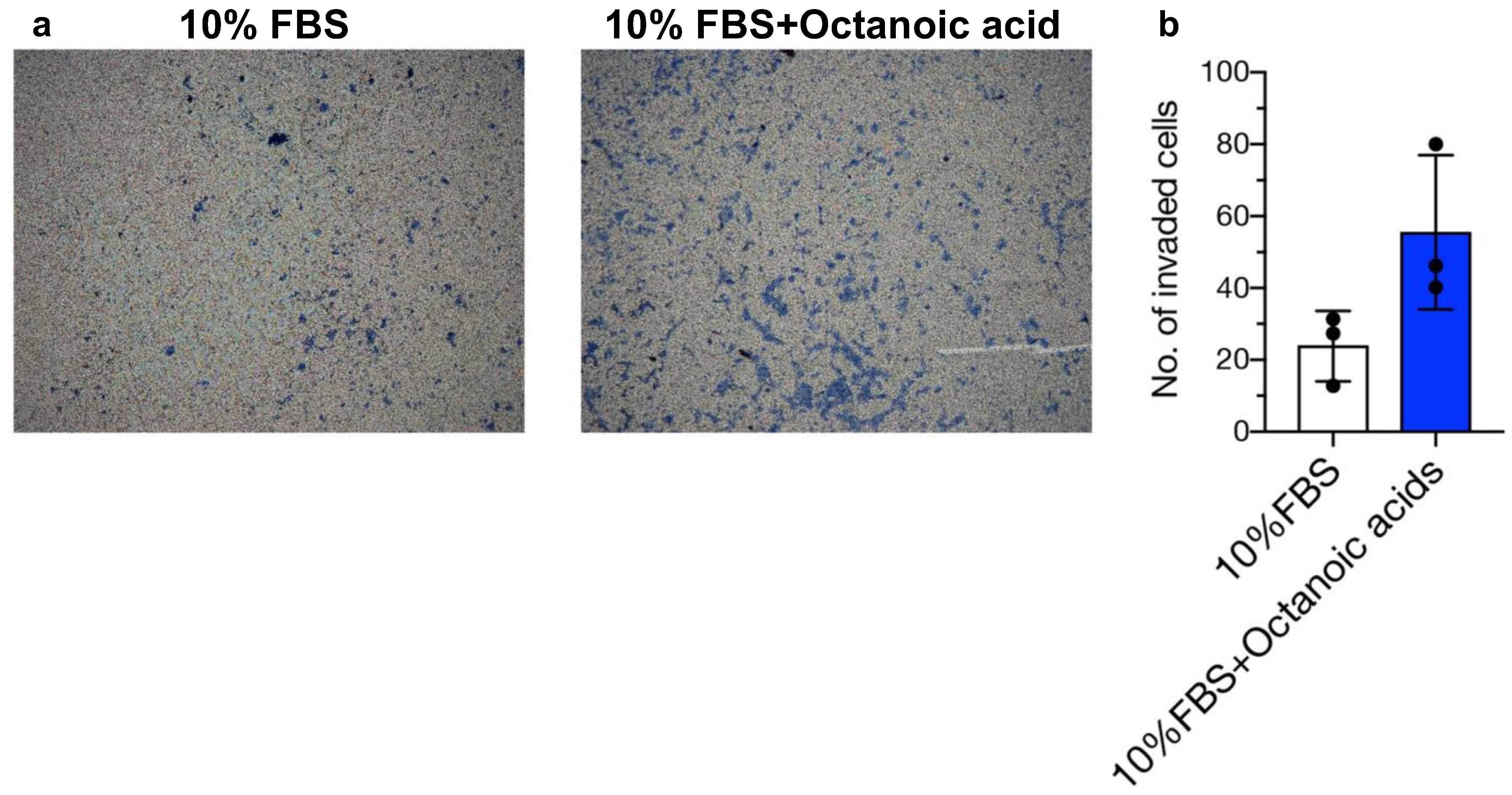 Biomolecules 14 01014 g005 Biomolecules 14 01014 g005