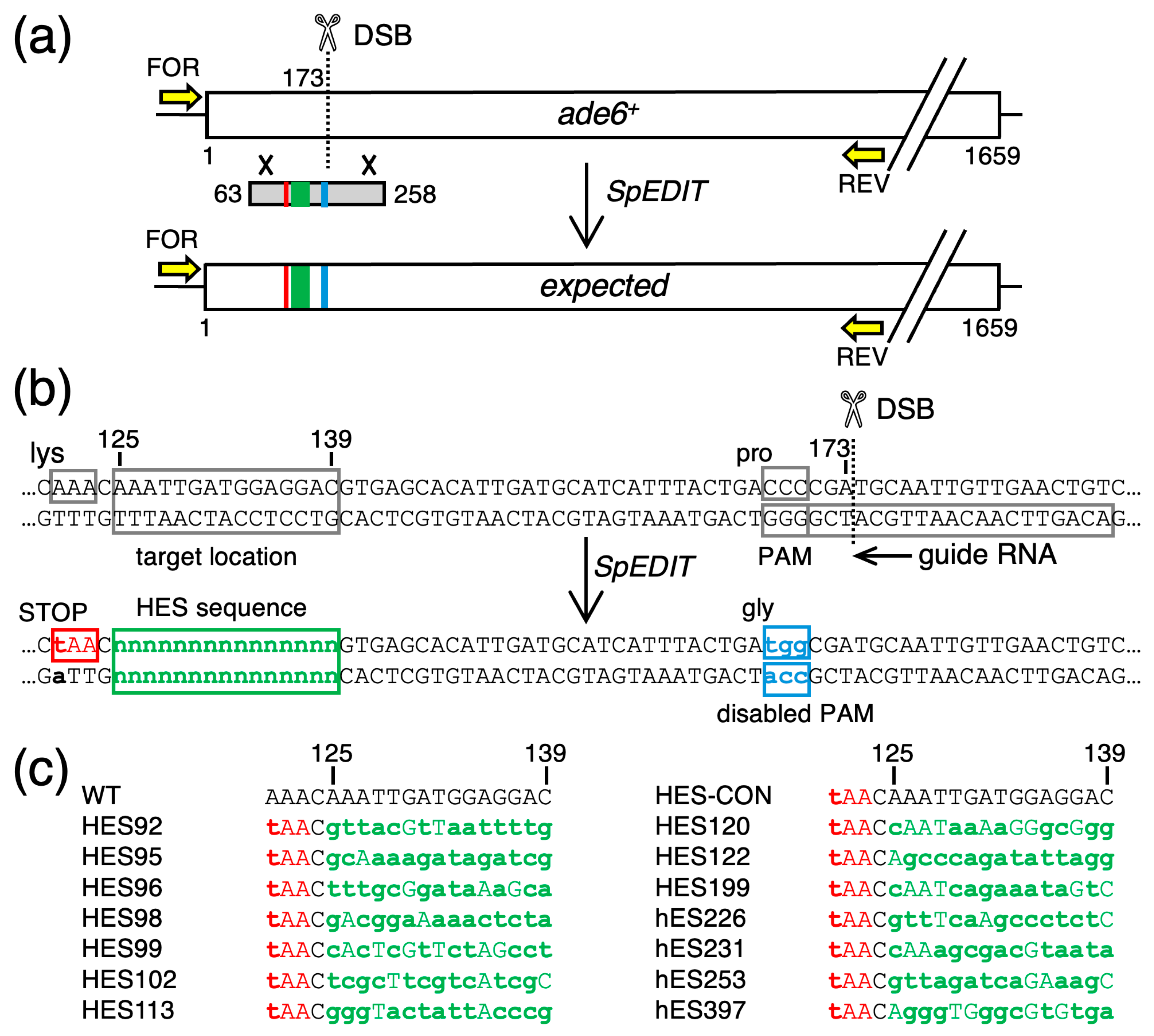 Biomolecules 14 01016 g001 Biomolecules 14 01016 g001