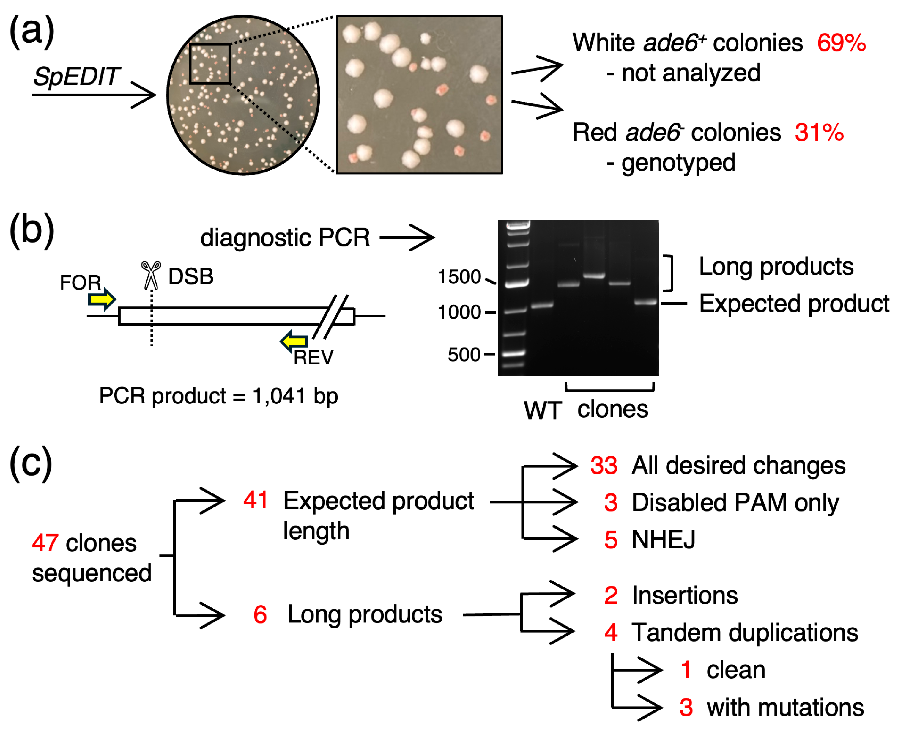 Biomolecules 14 01016 g002 Biomolecules 14 01016 g002