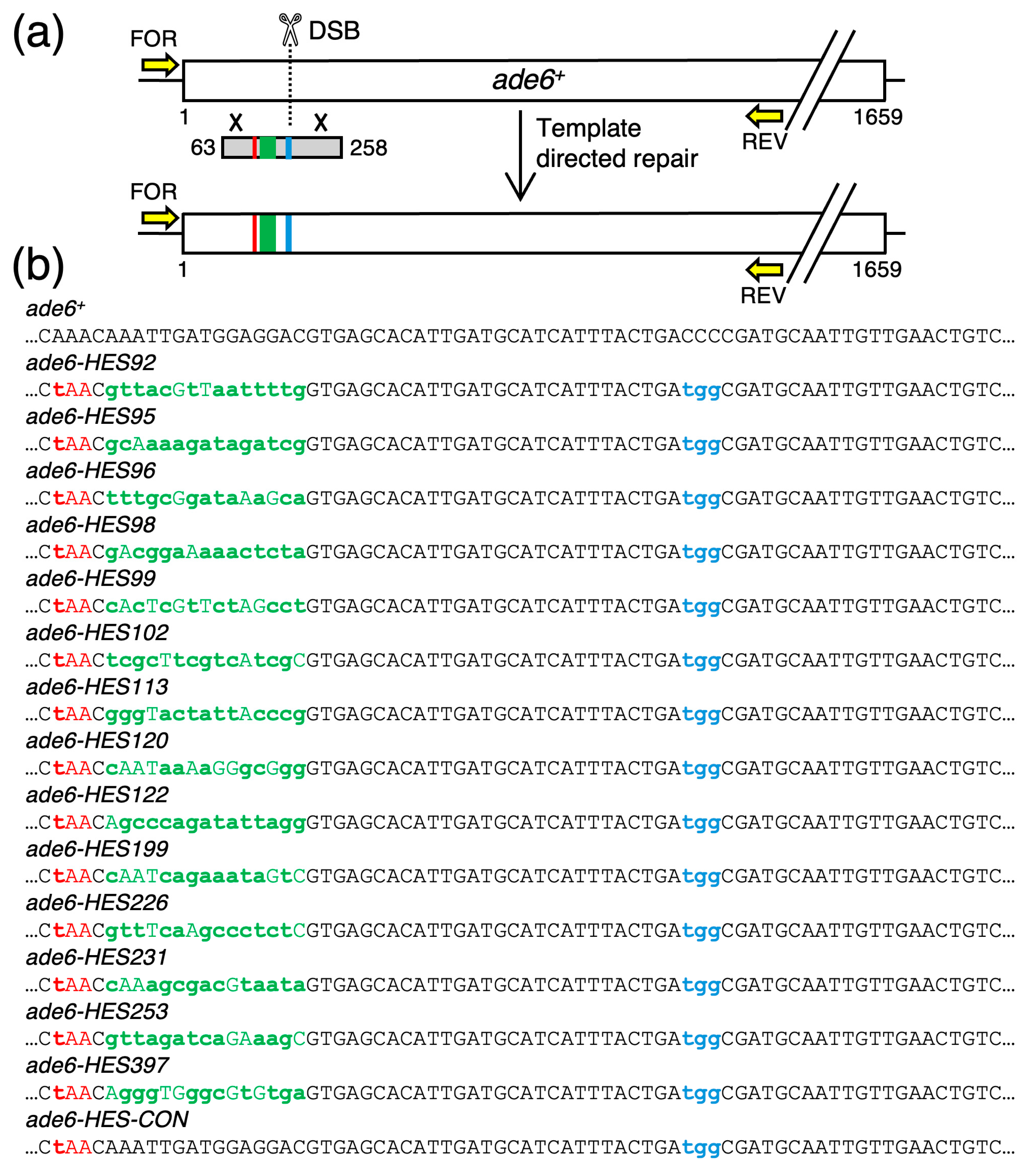 Biomolecules 14 01016 g003 Biomolecules 14 01016 g003