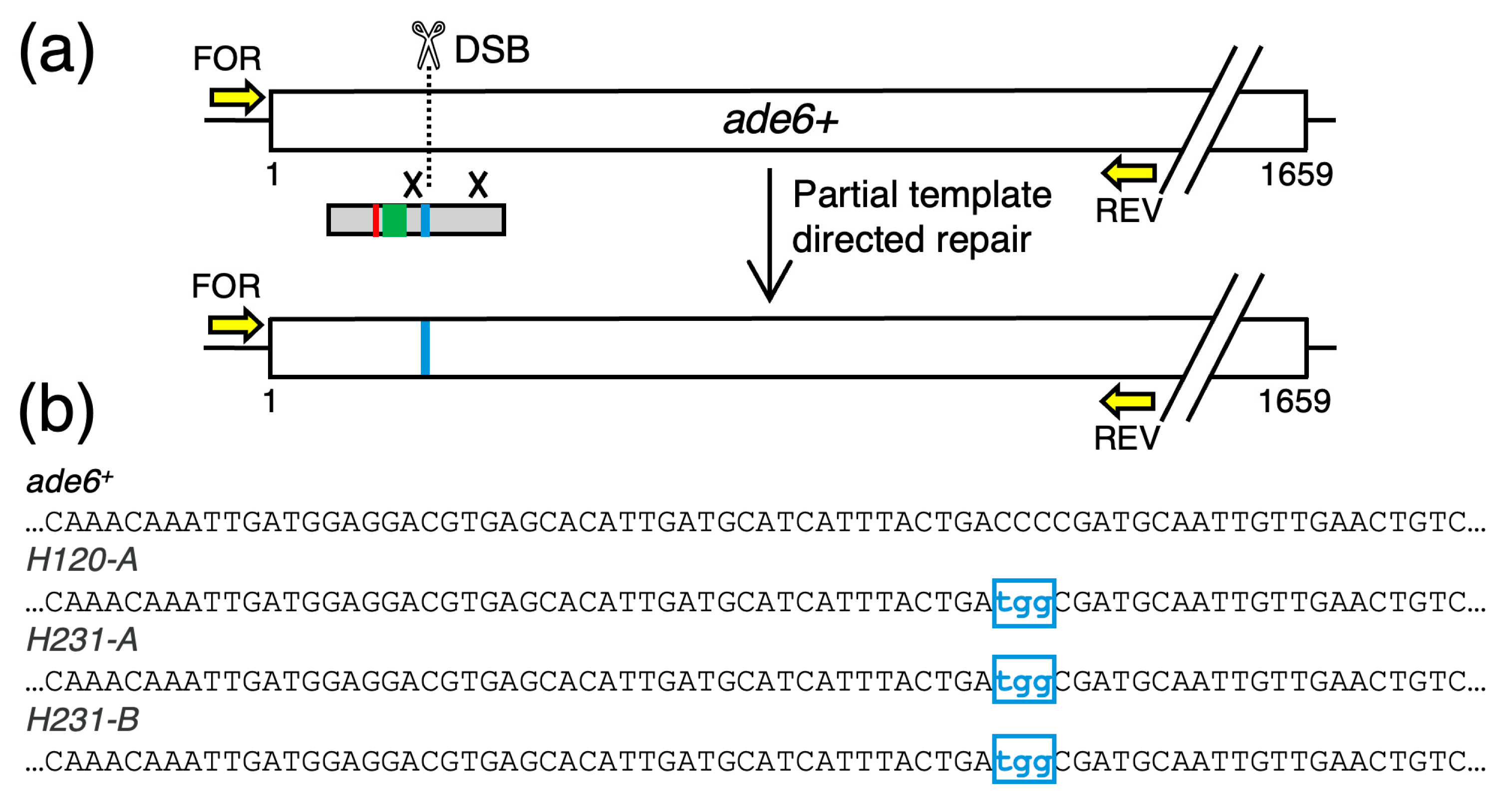 Biomolecules 14 01016 g004 Biomolecules 14 01016 g004