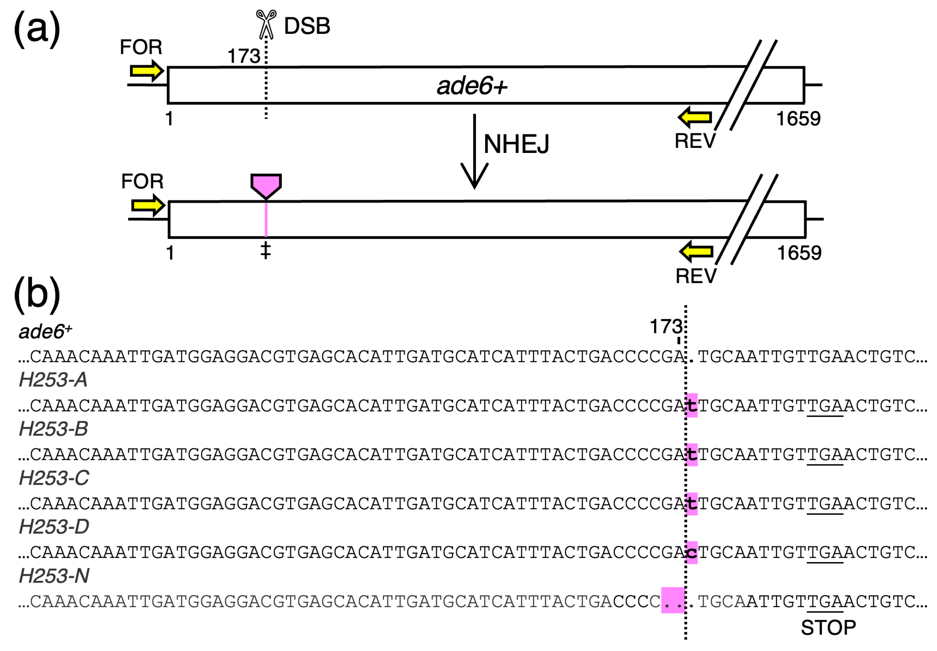 Biomolecules 14 01016 g006 Biomolecules 14 01016 g006