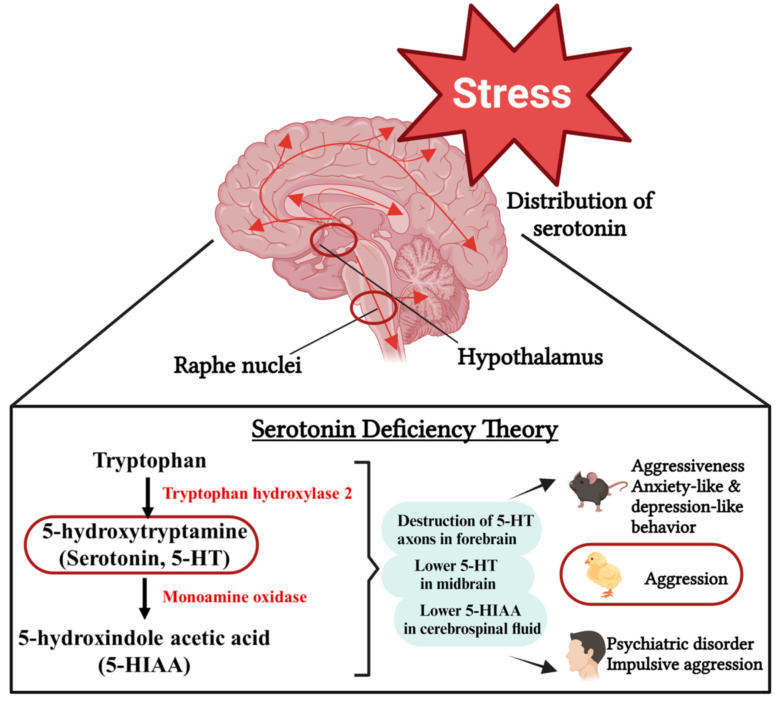 Biomolecules 14 01017 g001