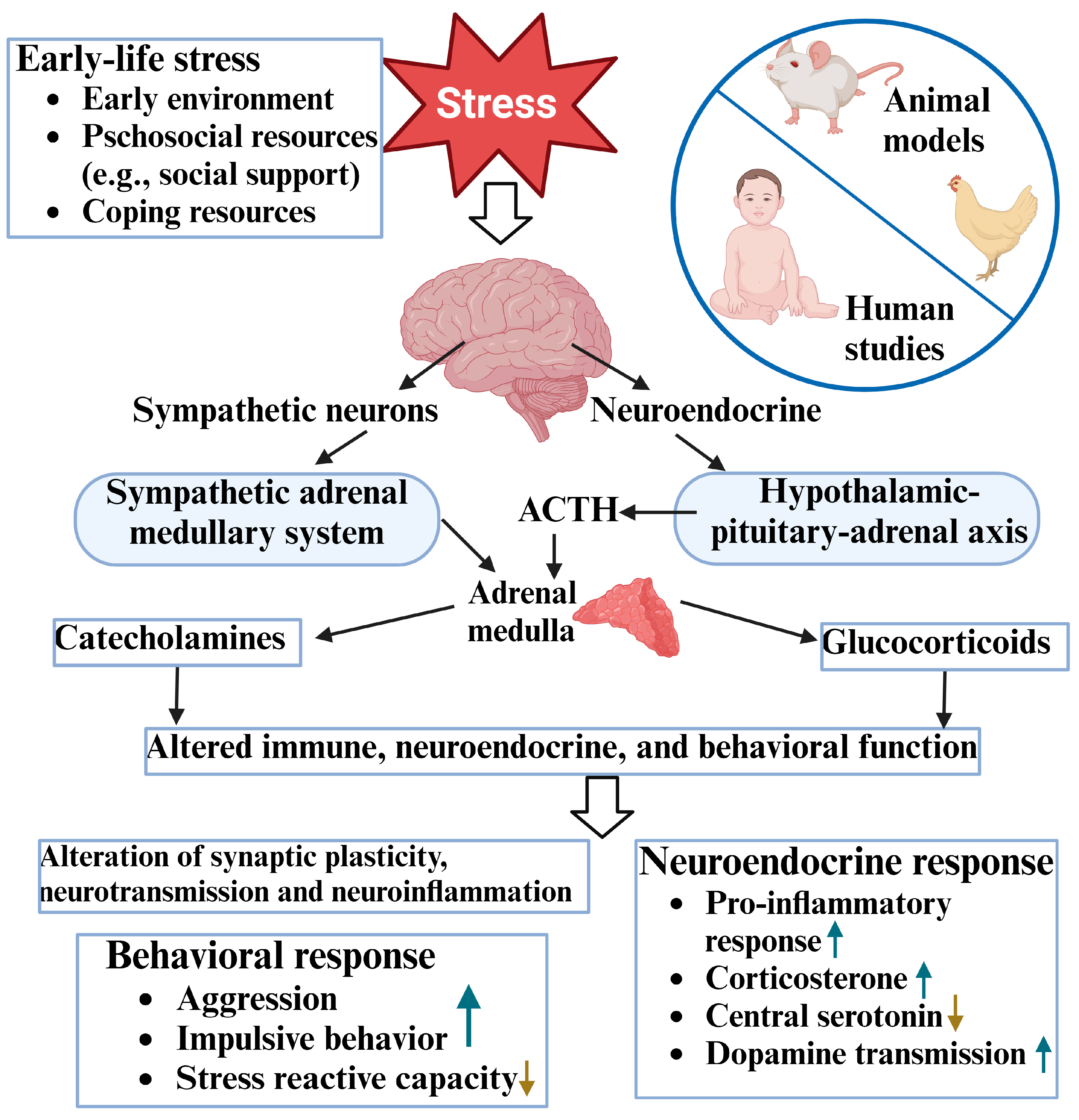 Biomolecules 14 01017 g002