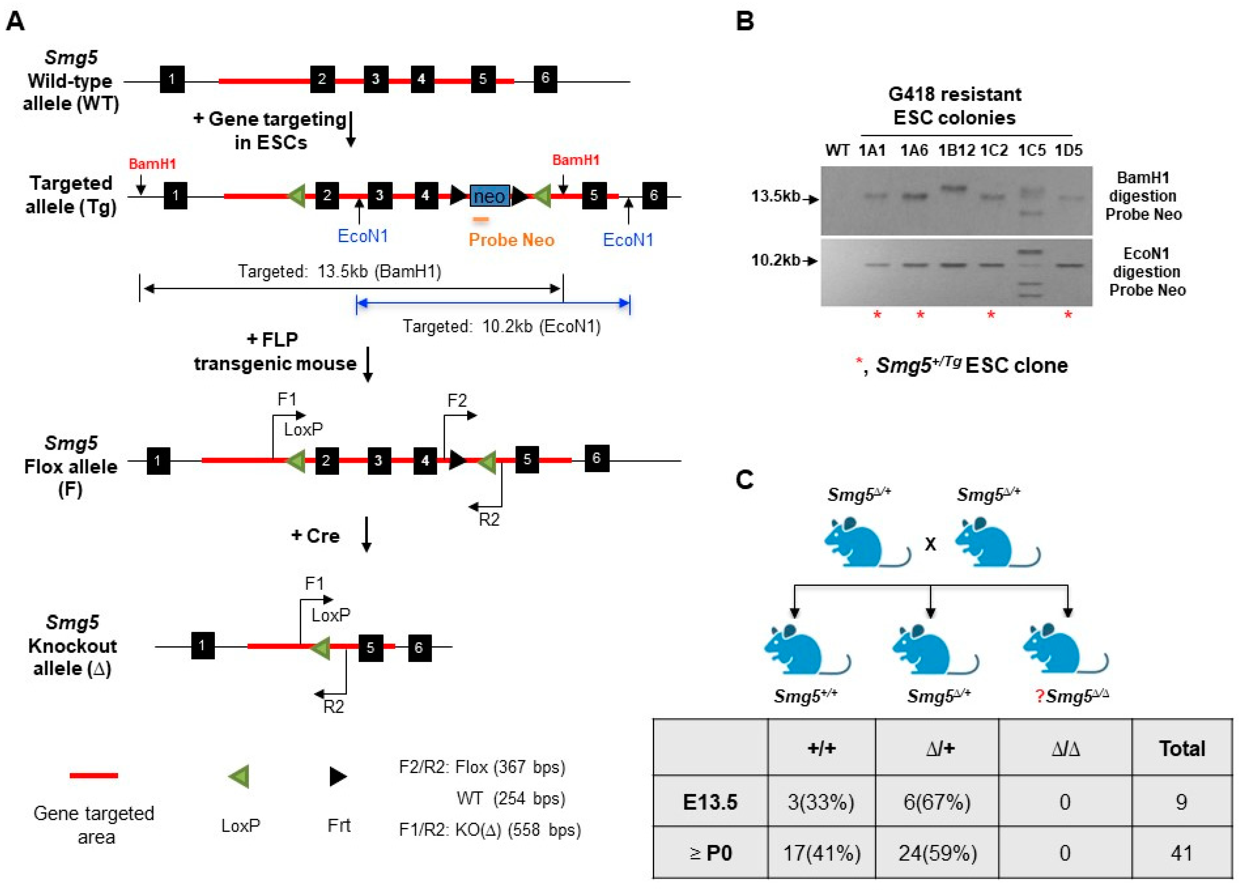 Biomolecules 14 01023 g001