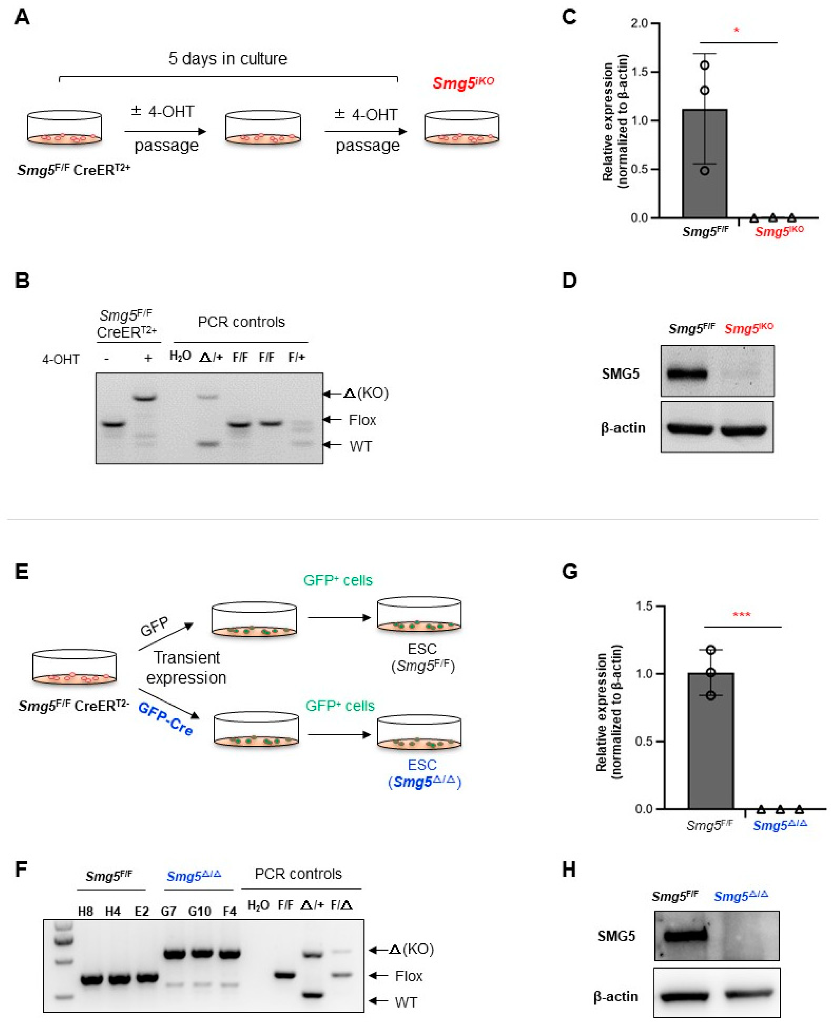 Biomolecules 14 01023 g002