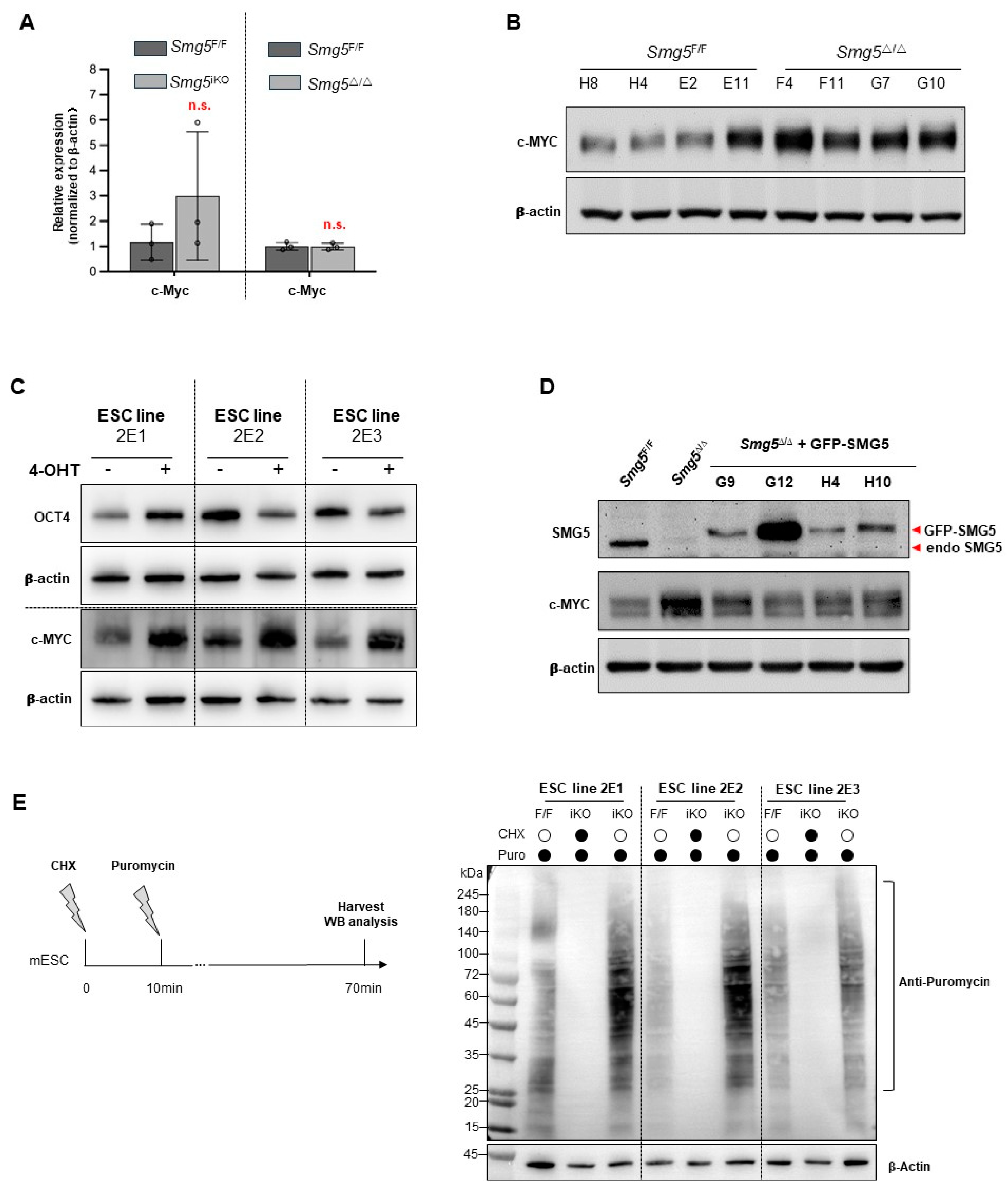 Biomolecules 14 01023 g006