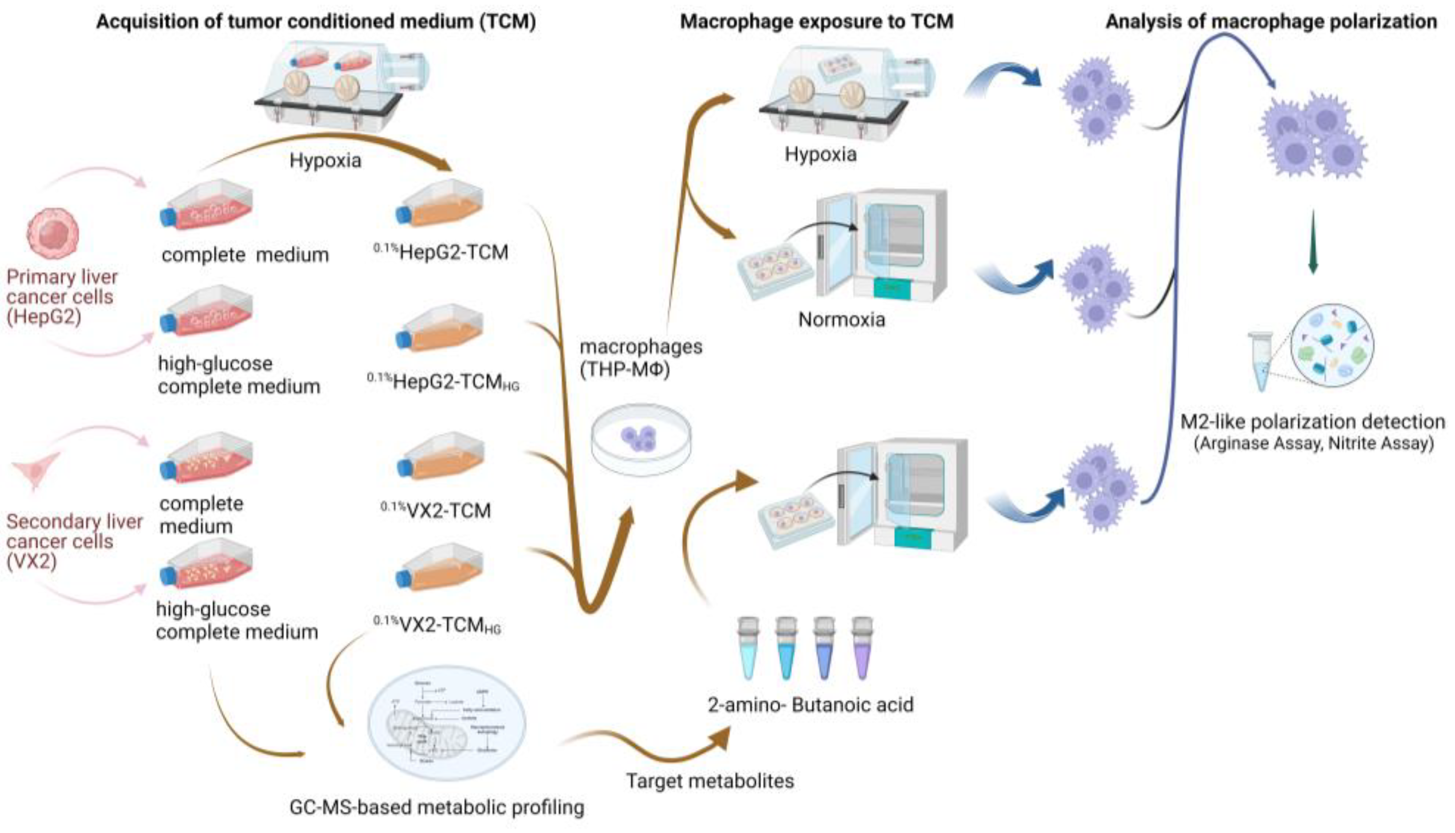 Biomolecules 14 01024 g001 Biomolecules 14 01024 g001