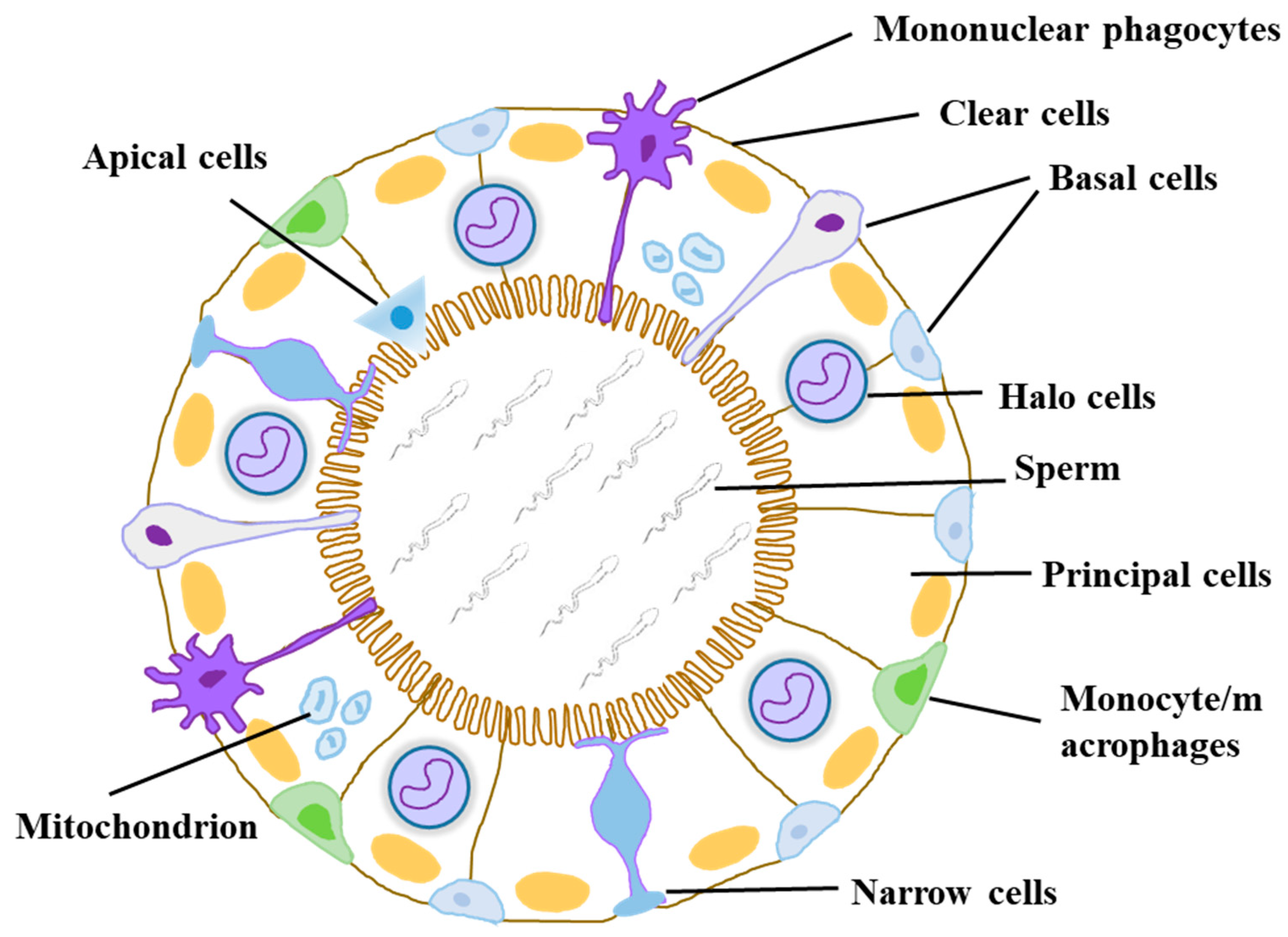 Biomolecules 14 01026 g001