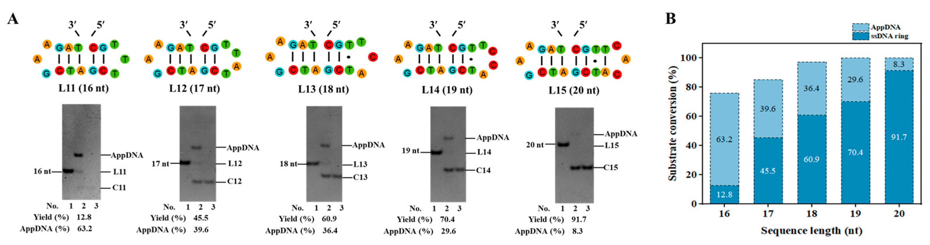 Biomolecules 14 01027 g002 Biomolecules 14 01027 g002
