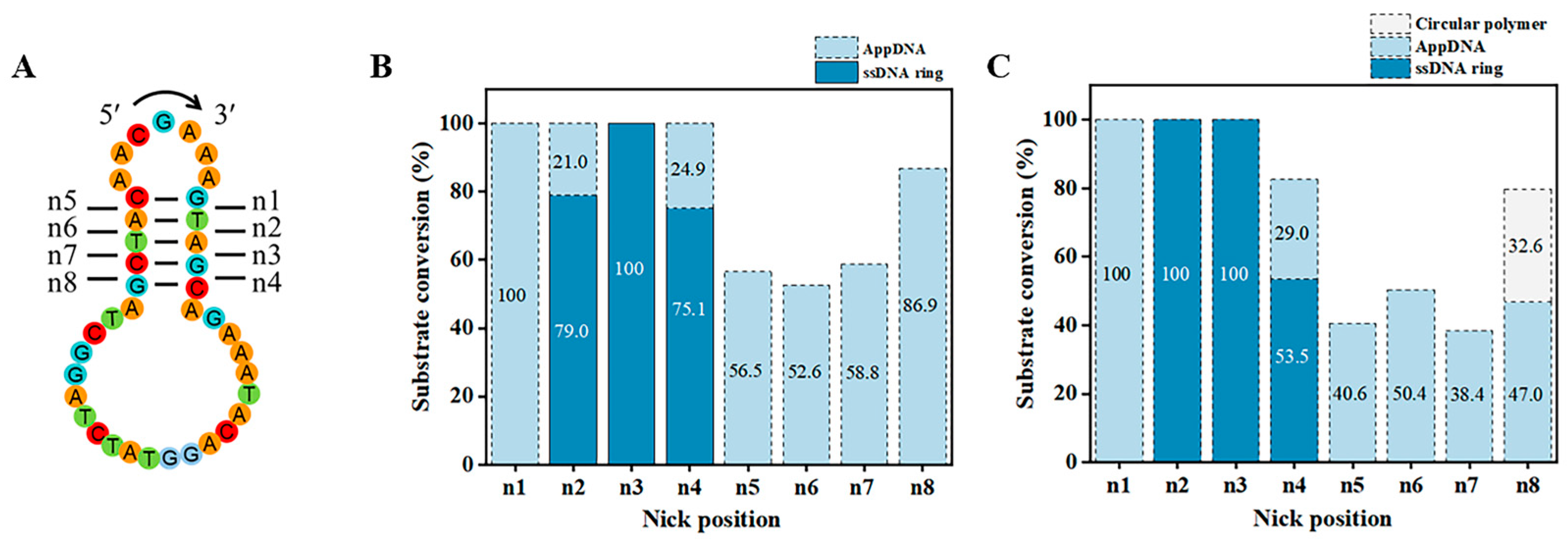 Biomolecules 14 01027 g003 Biomolecules 14 01027 g003