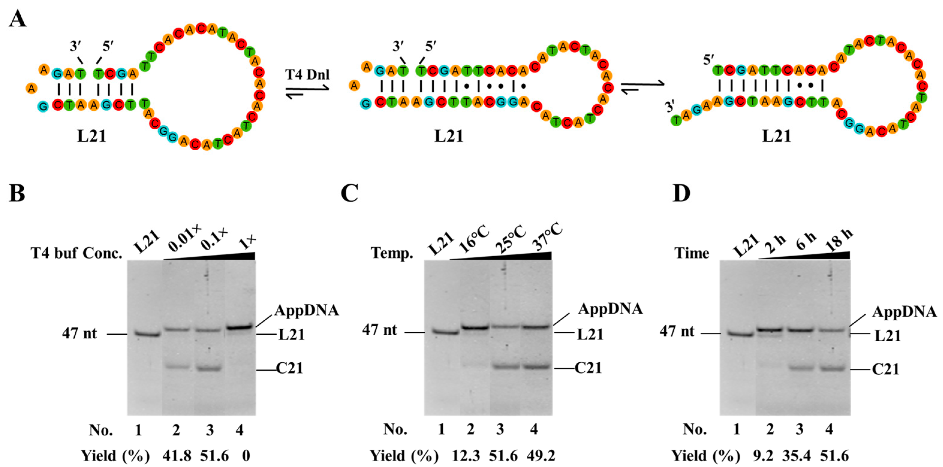 Biomolecules 14 01027 g004 Biomolecules 14 01027 g004