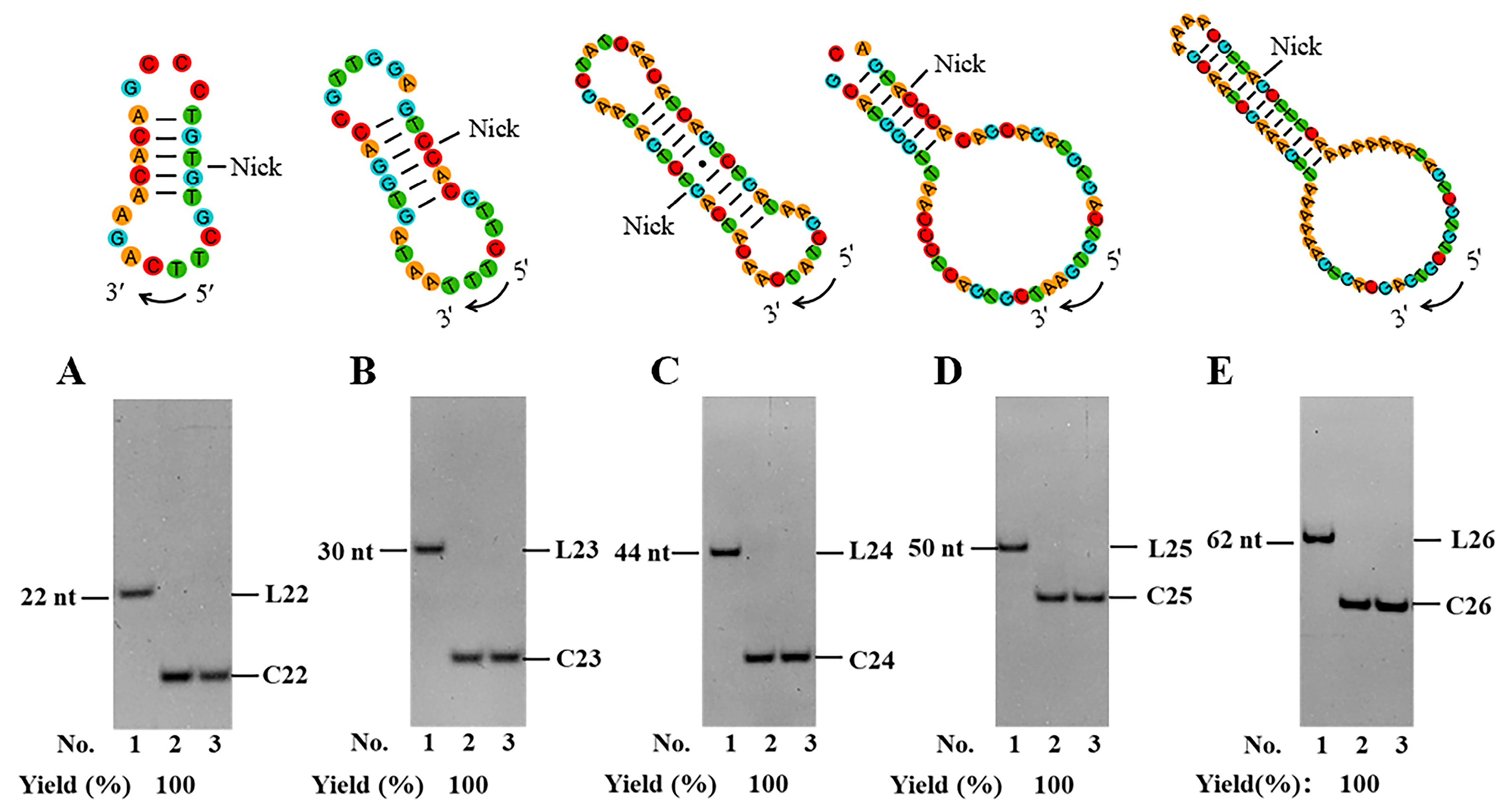 Biomolecules 14 01027 g005 Biomolecules 14 01027 g005