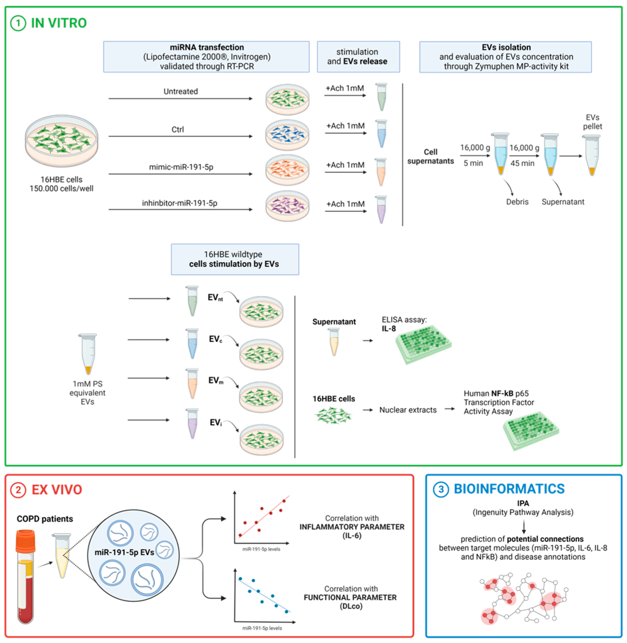 Biomolecules 14 01030 g001