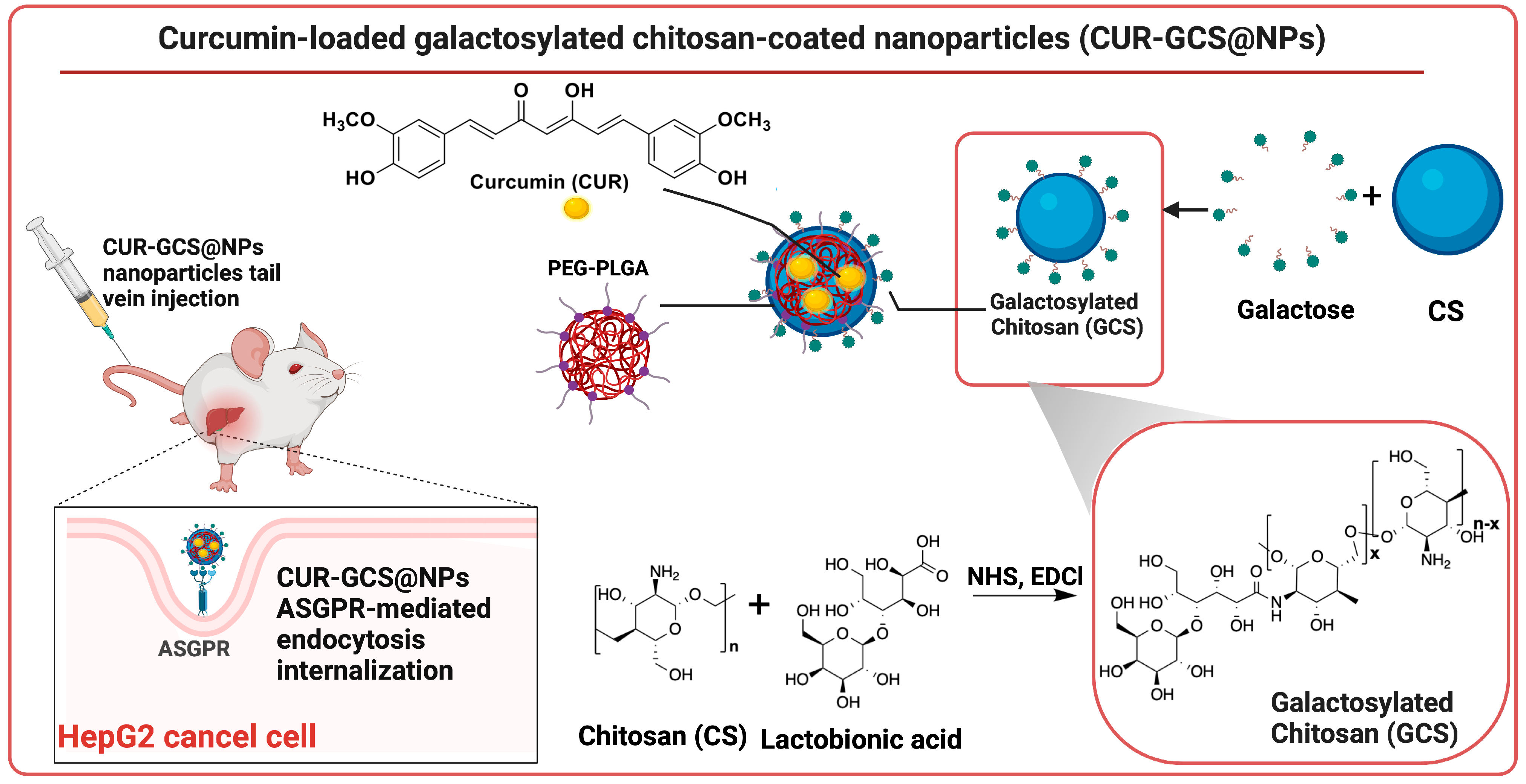 Biomolecules 14 01031 g003