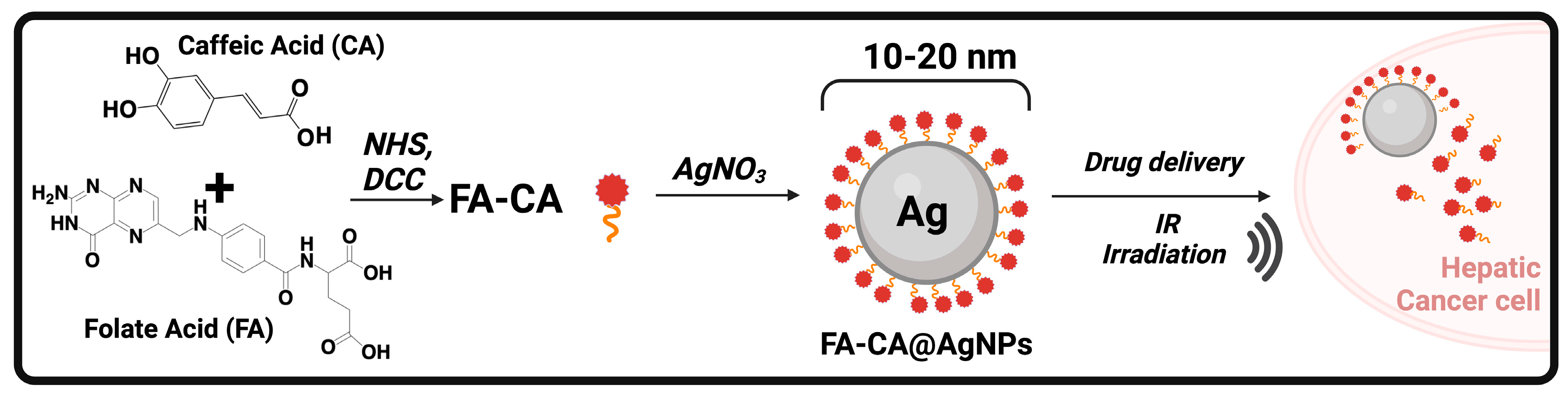 Biomolecules 14 01031 g005