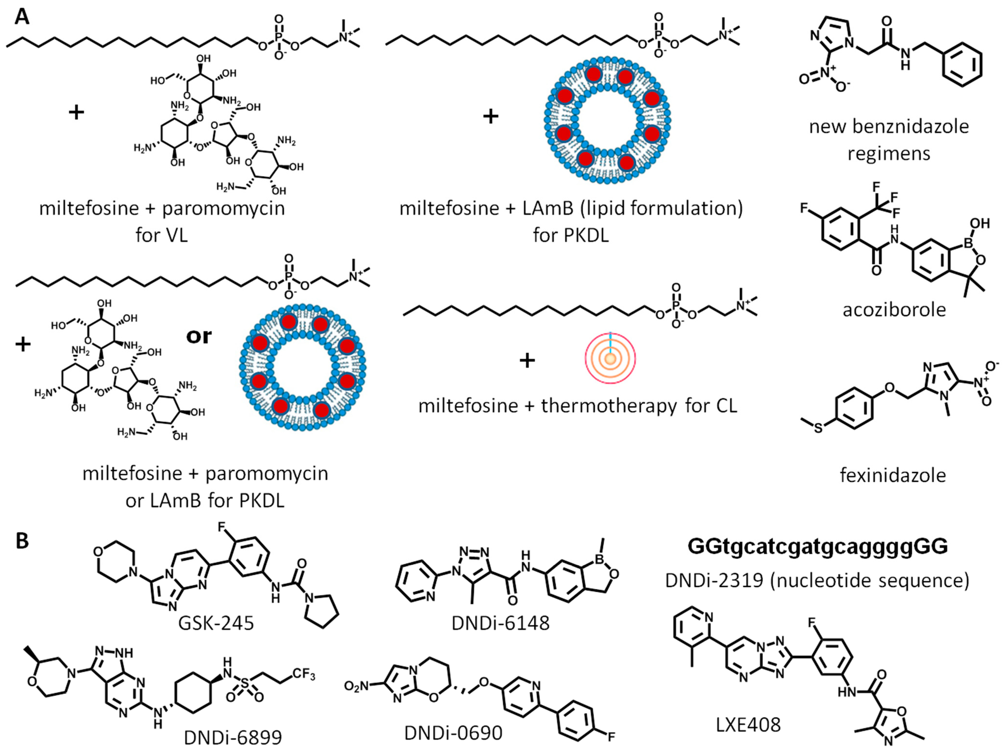 Biomolecules 14 01033 g002