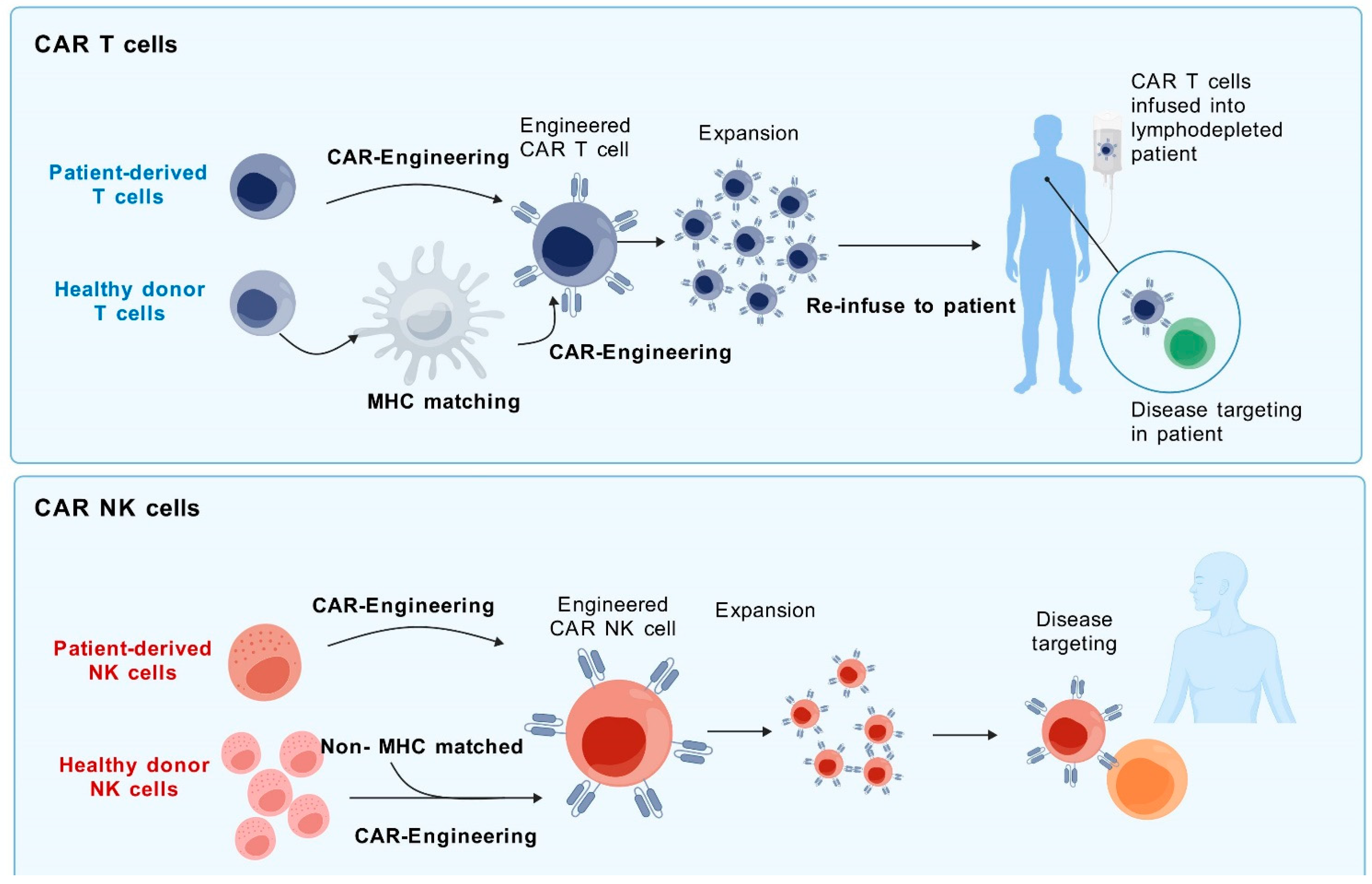 Biomolecules 14 01035 g003