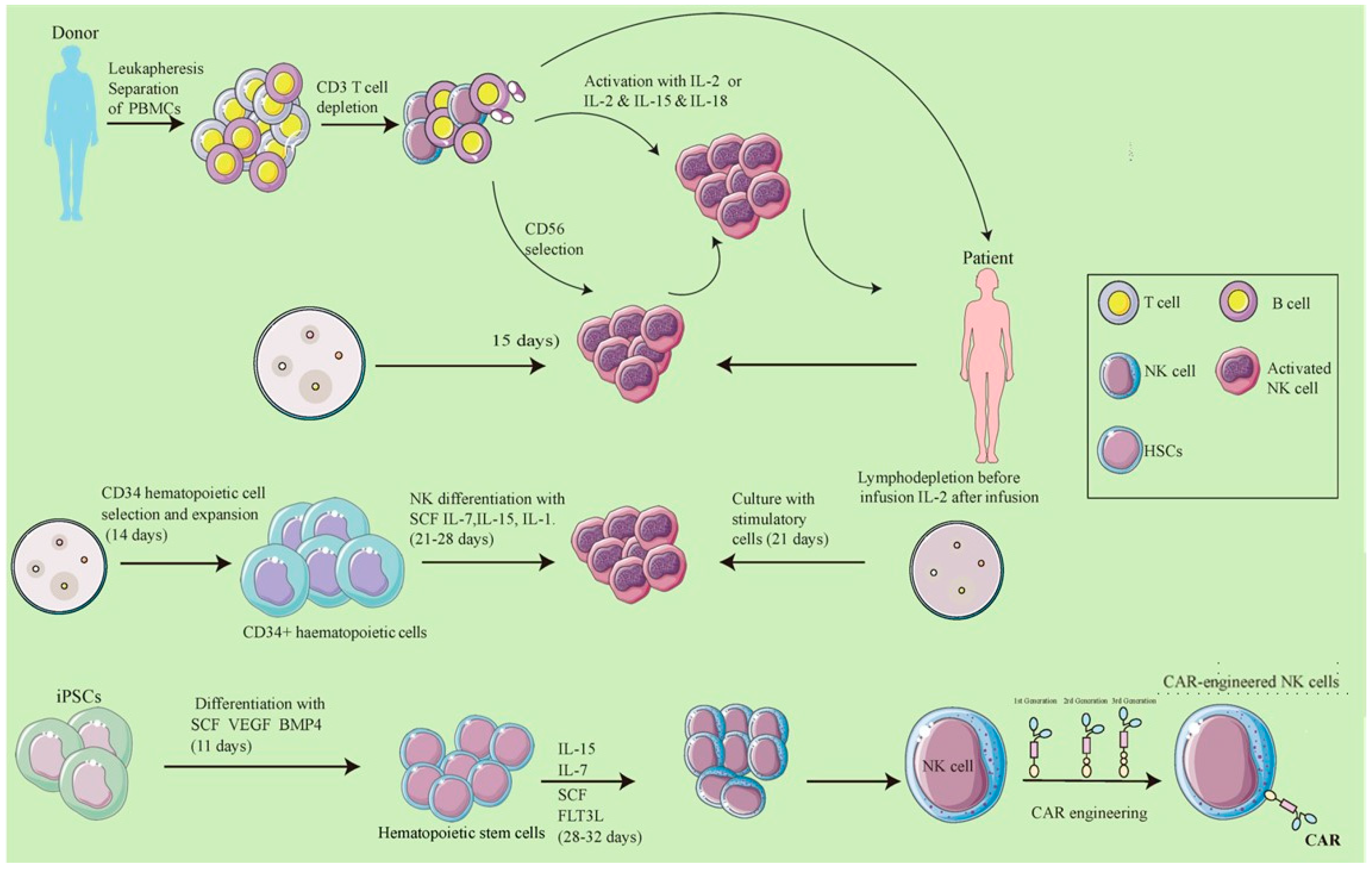 Biomolecules 14 01035 g004