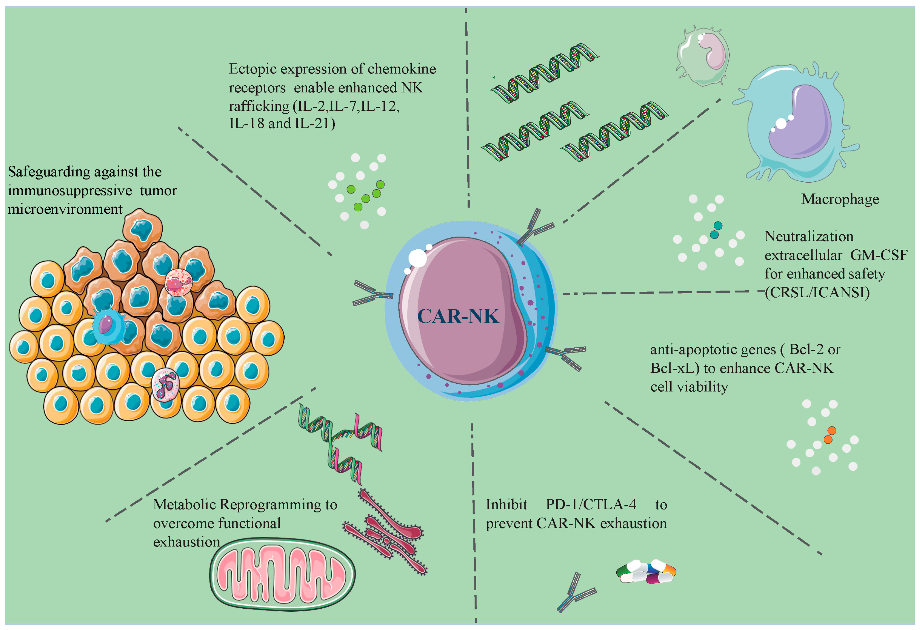 Biomolecules 14 01035 g005