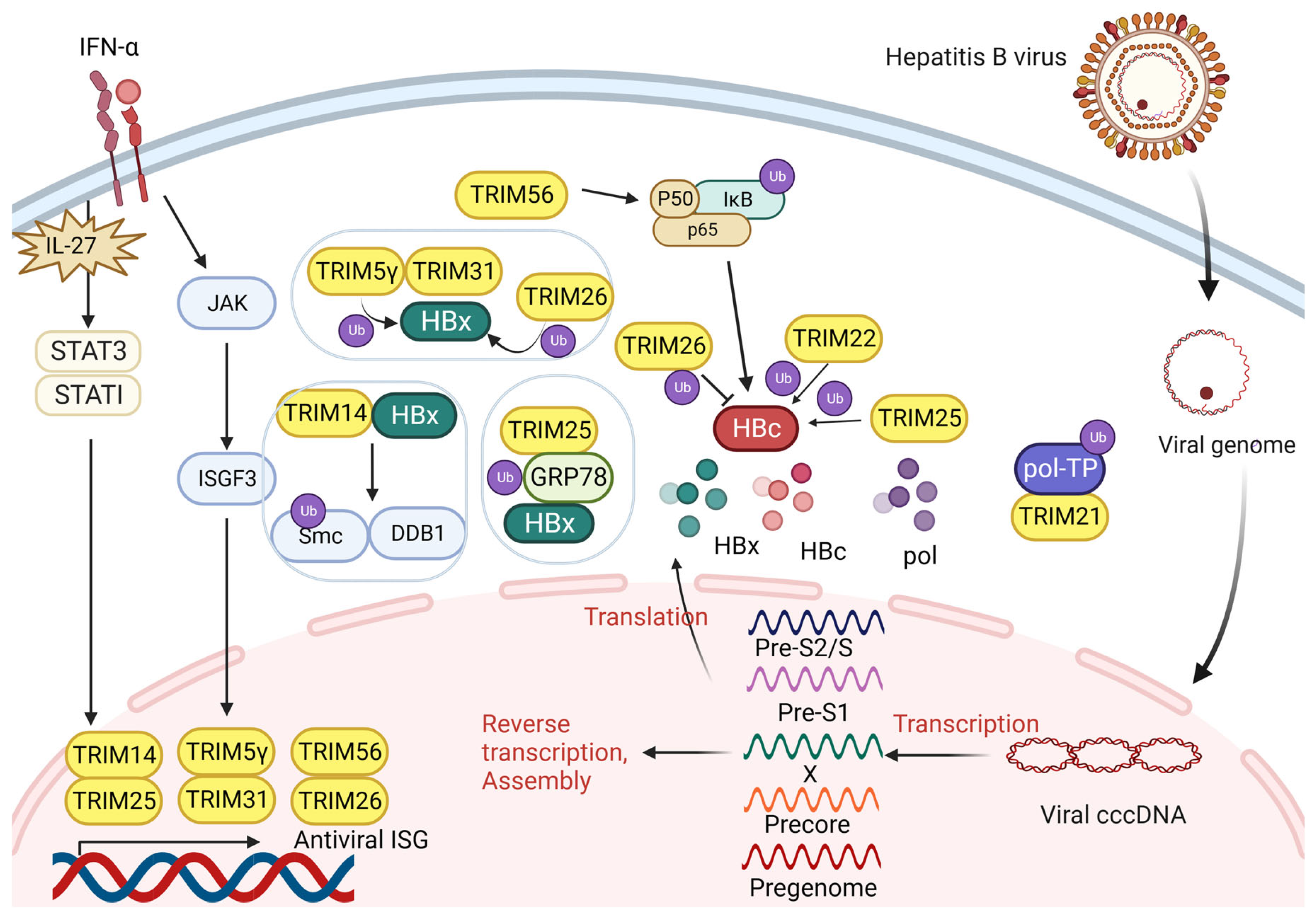 Biomolecules 14 01038 g003