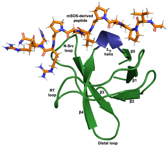 aimk Targeting Macrophages: Therapeutic Approaches in Diabetic