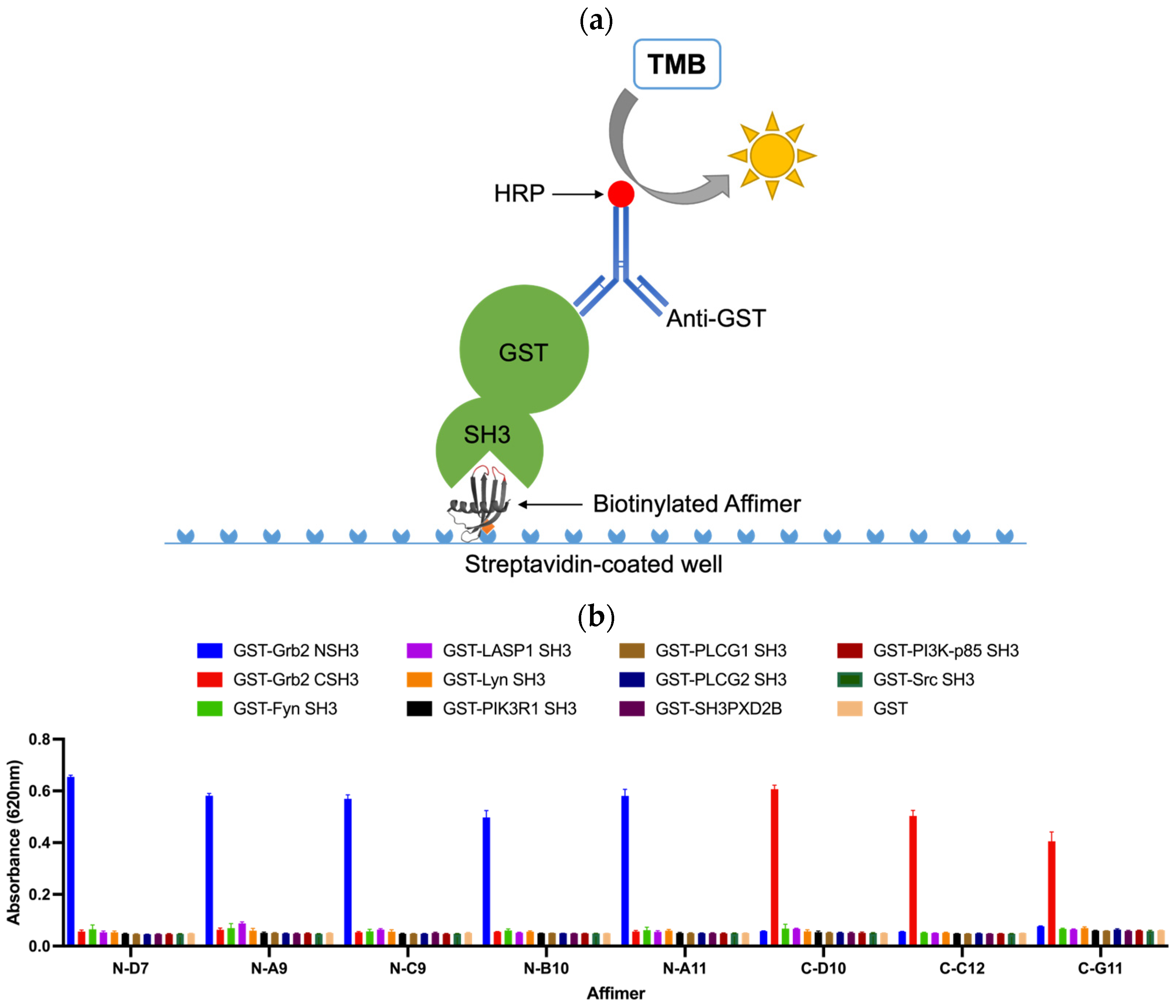 Biomolecules 14 01040 g007 Biomolecules 14 01040 g007